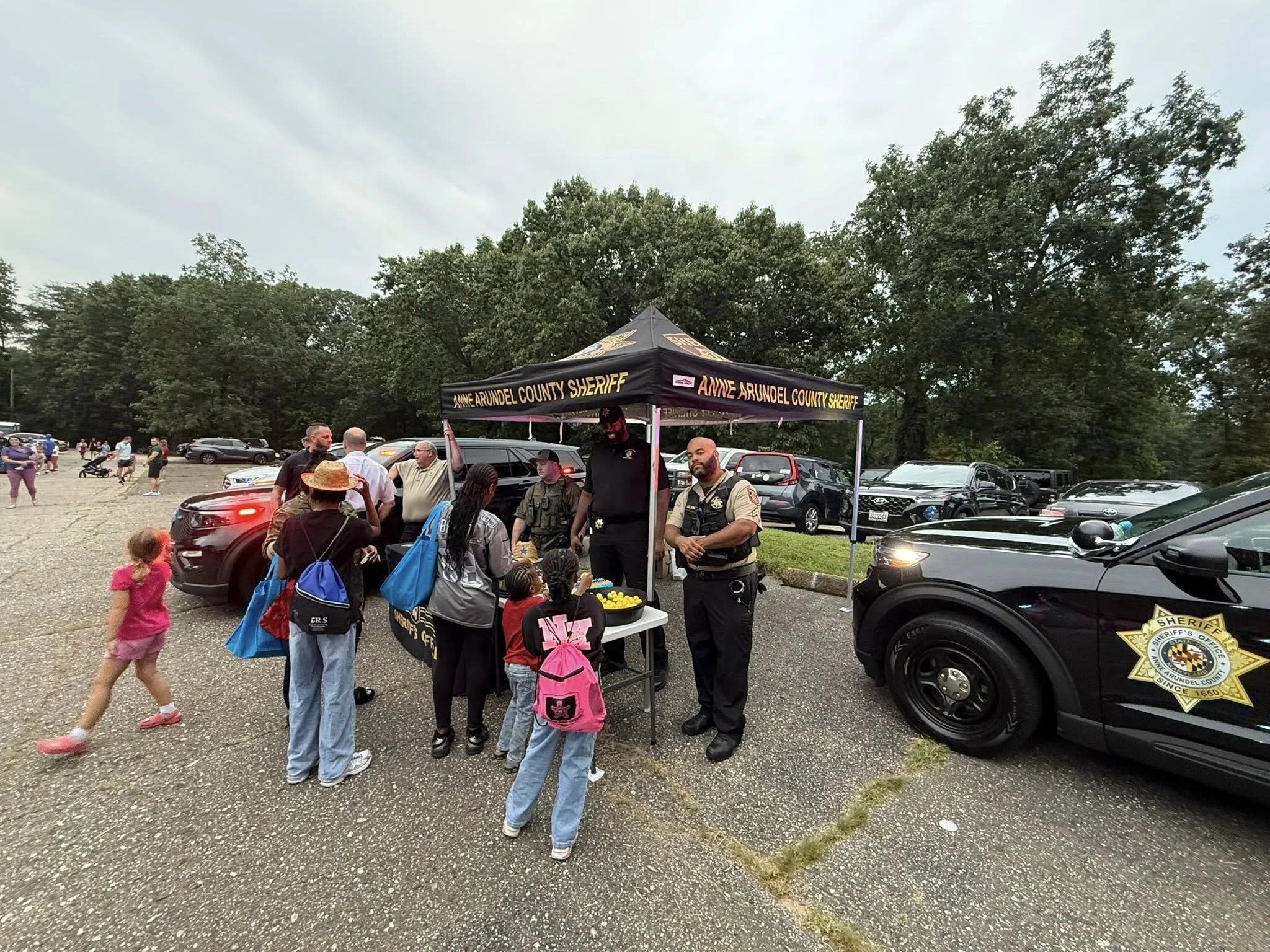 nno8.jpg