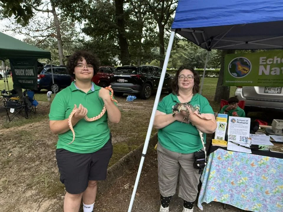 nno3.jpg