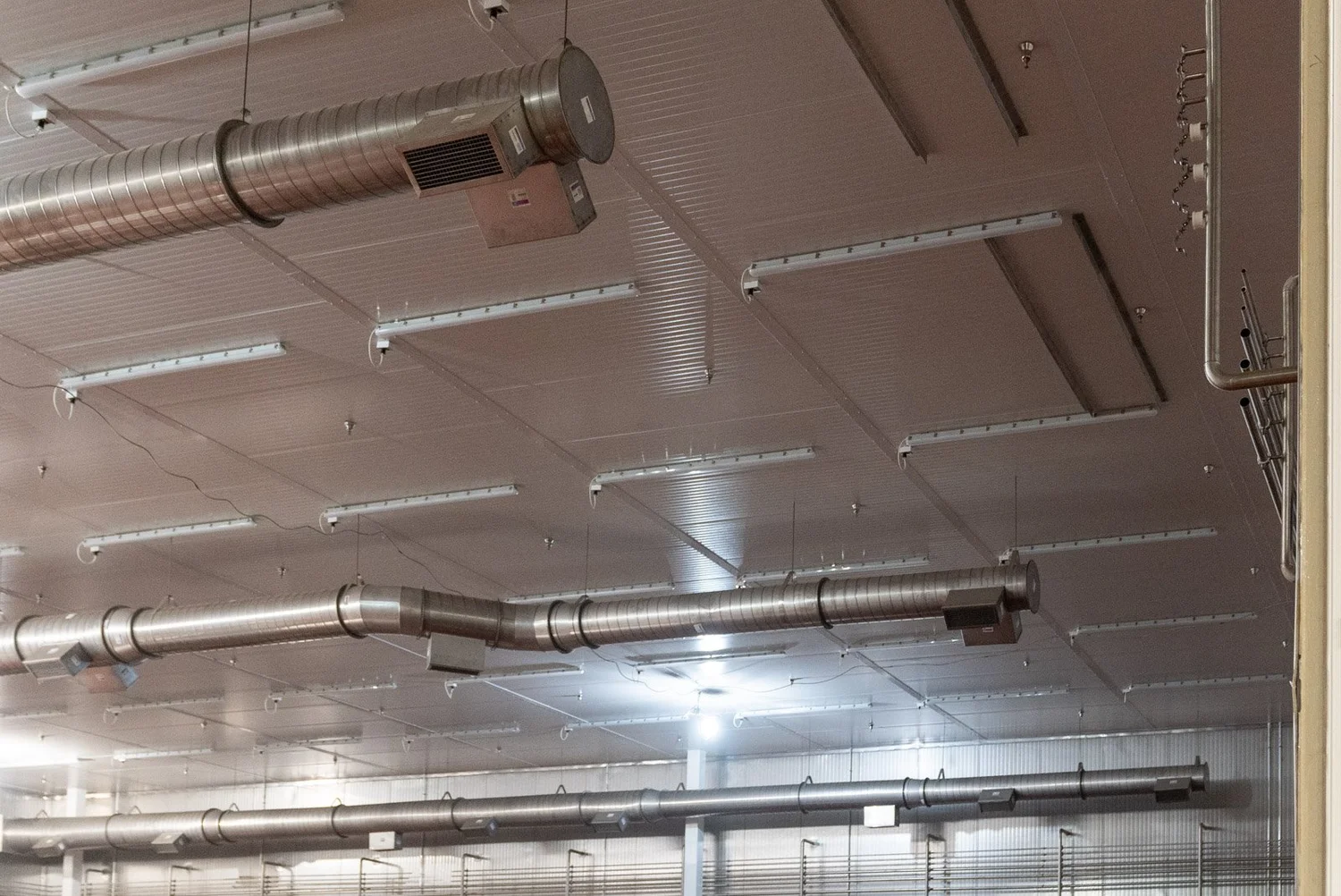 Insulated panel ceiling with fabric air ducts inside a cold storage room