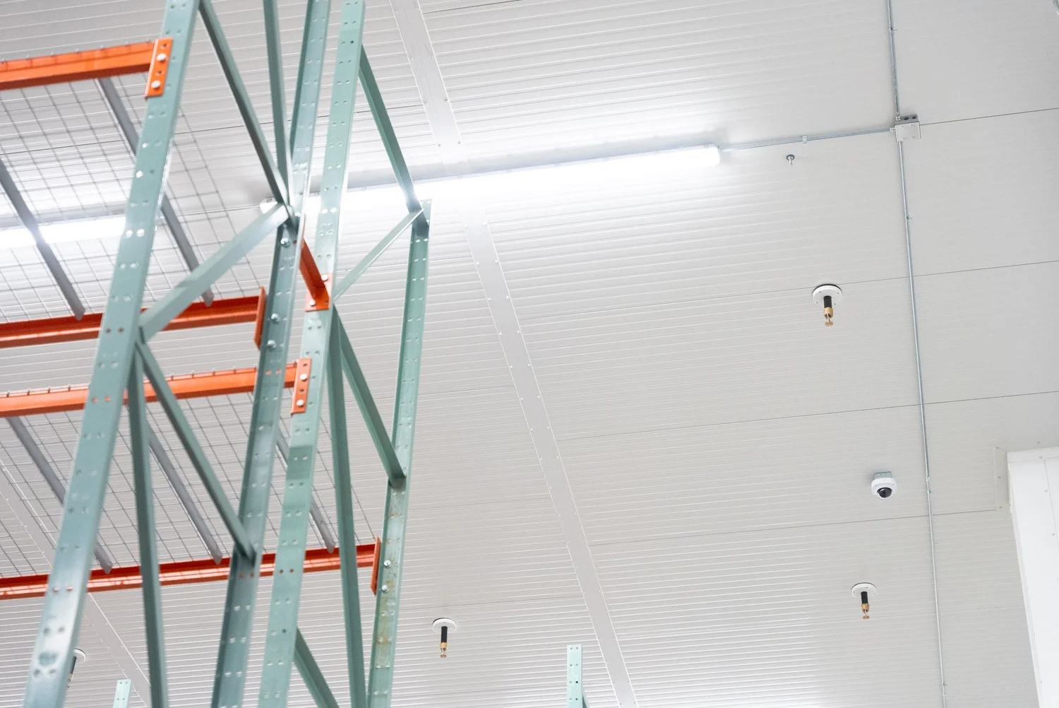 Pallet racking against white insulated metal panel walls in a cold storage room