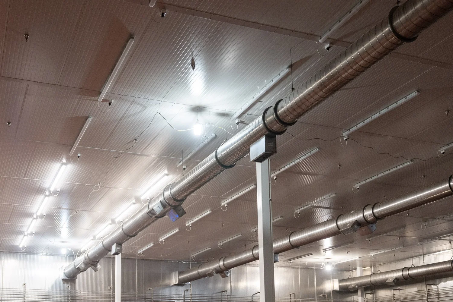 Insulated ceiling with suspended ductwork inside a cold storage building