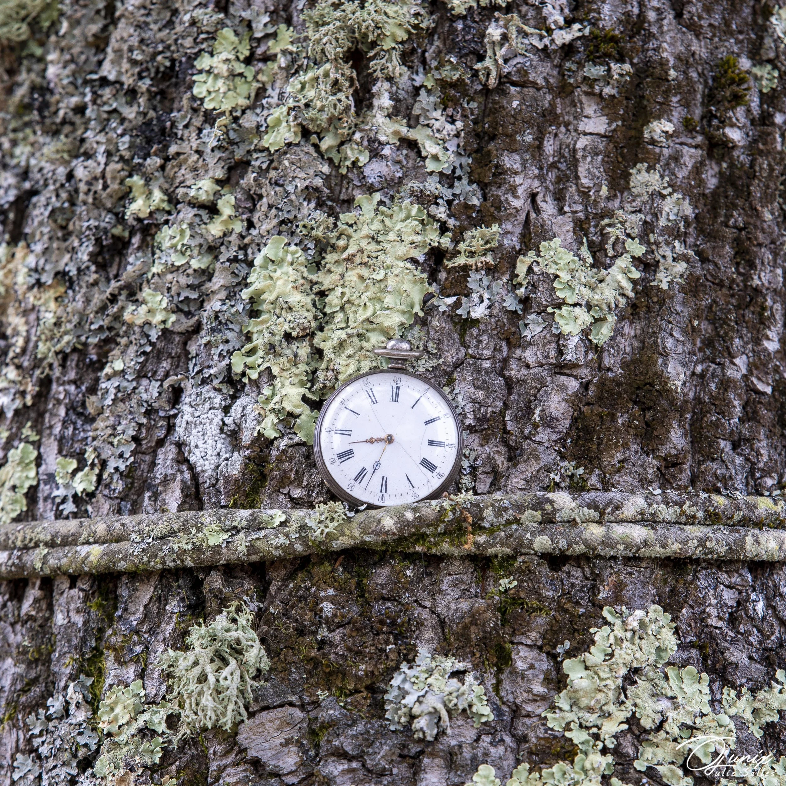 Harcèlement en expatriation : un angle mort des politiques de mobilité internationale