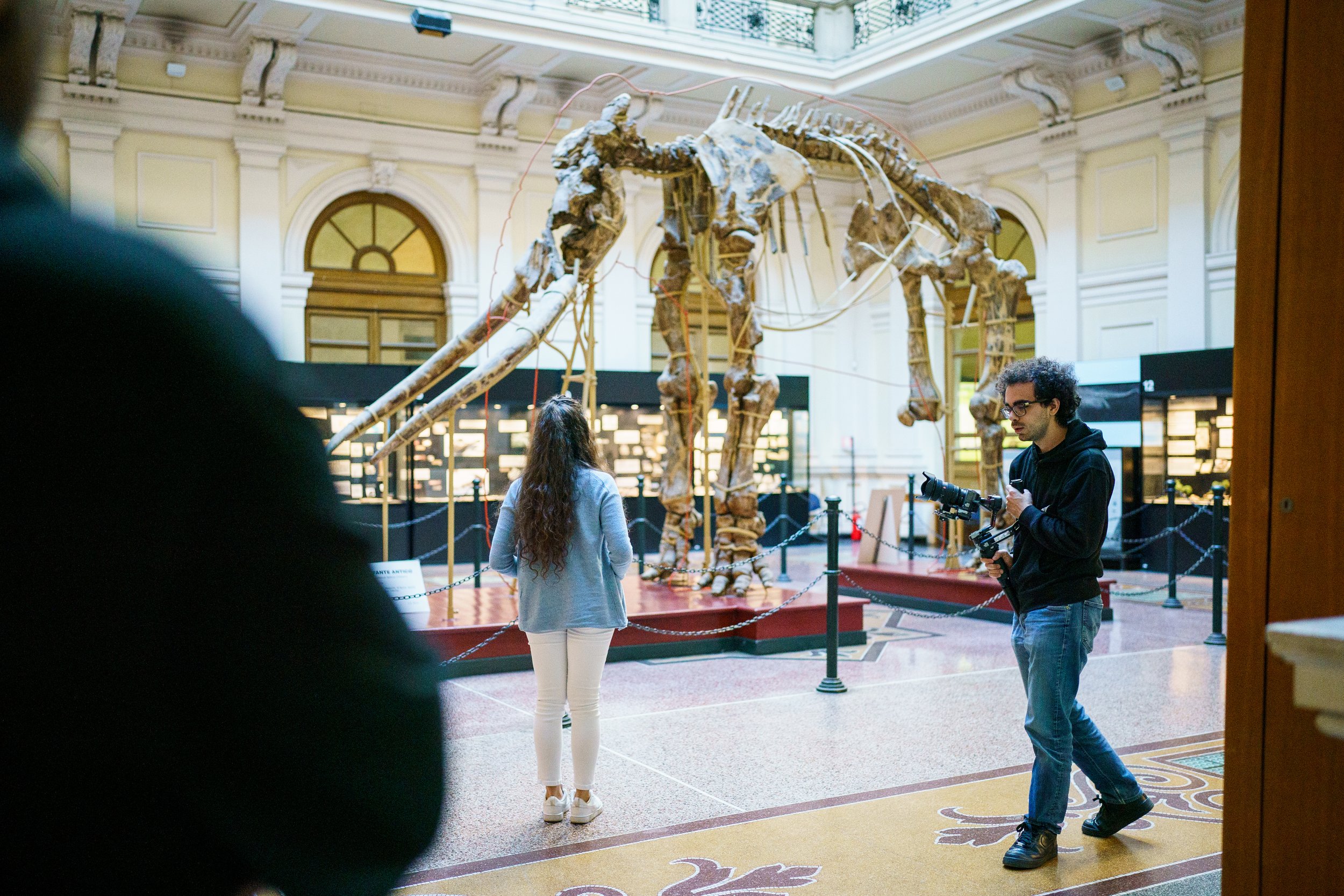 Scheletro di dinosauro in un museo con persone che lo osservano.