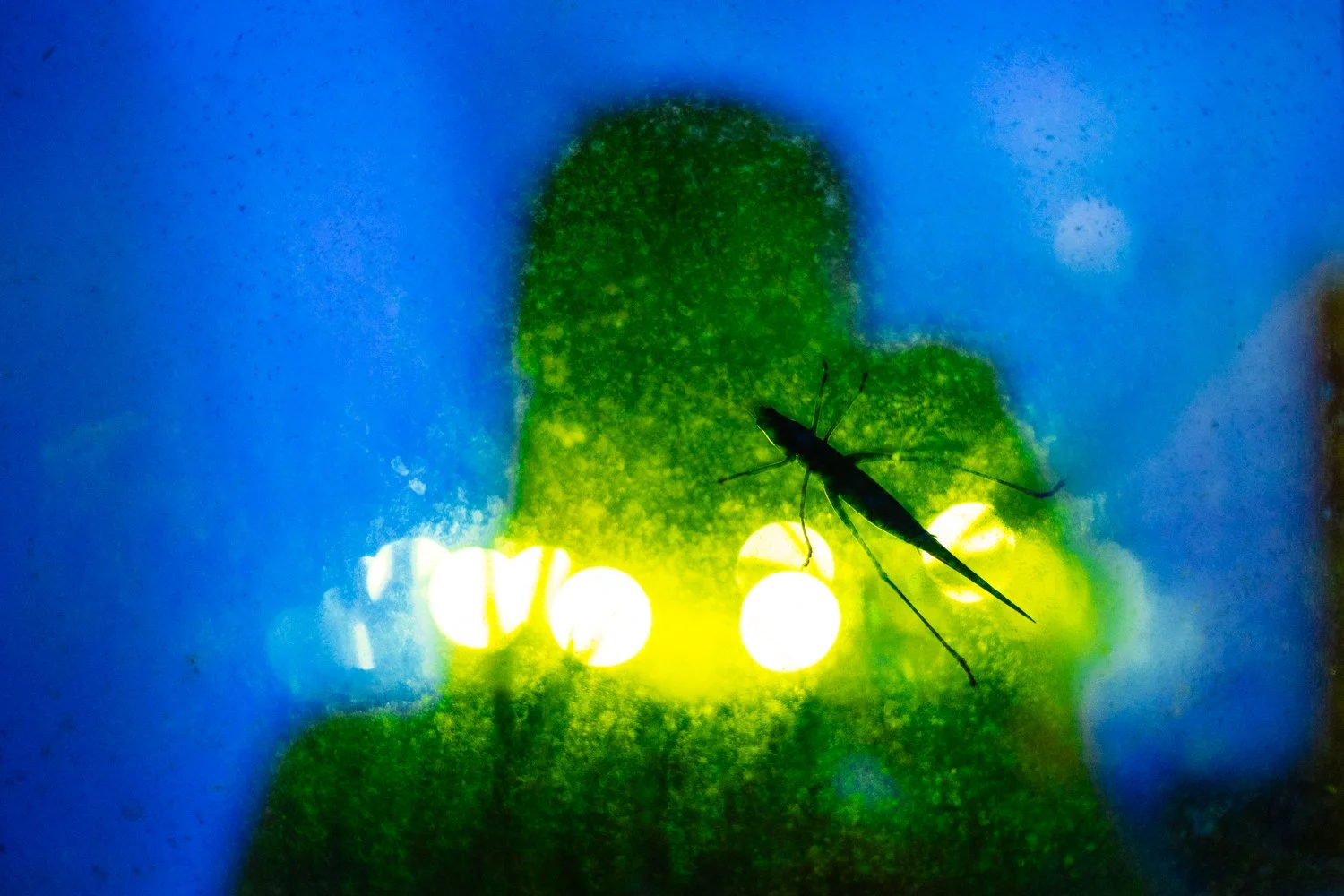 04_DSCF3572 Eugénie Baccot.jpg