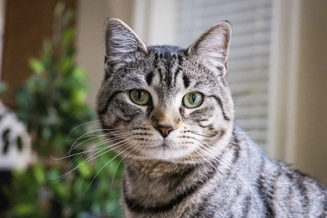 untitled-3 Medium.jpeg