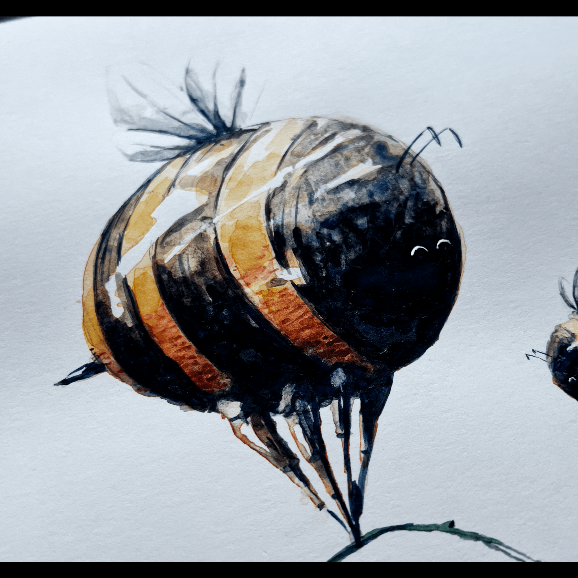 beeee-details-min.png