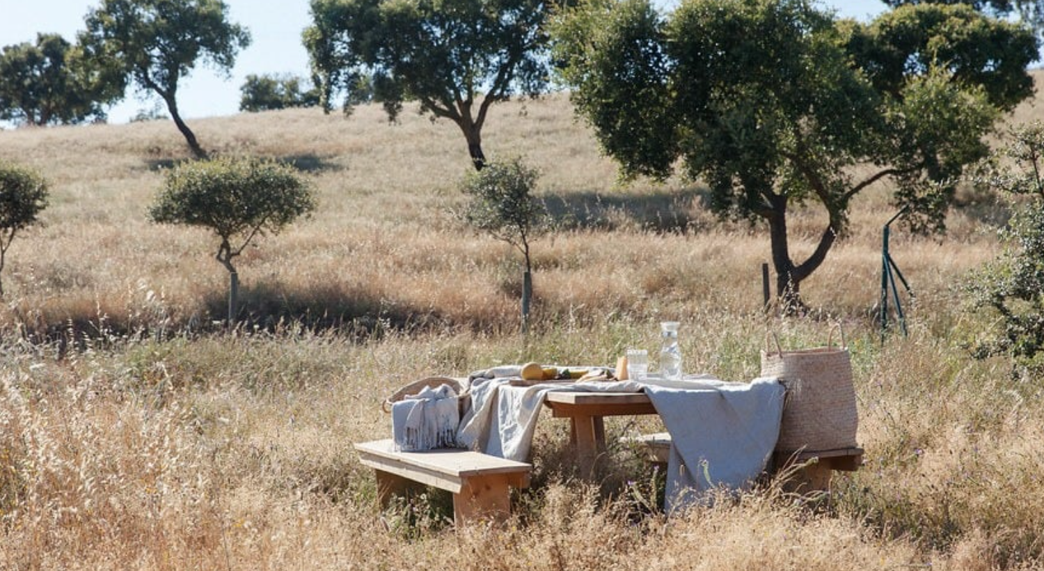 Wild & Rooted Portugal 