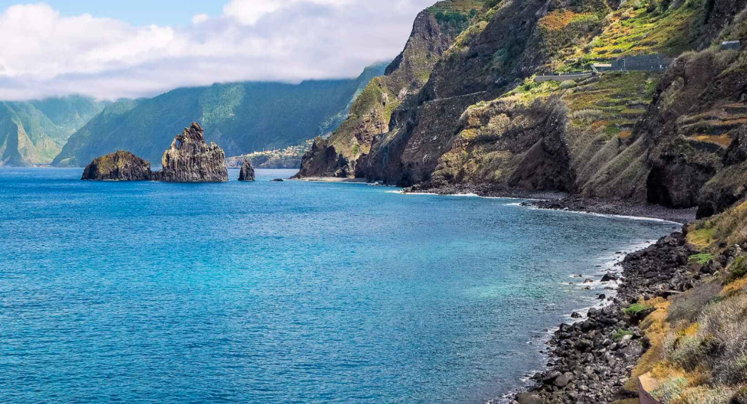 Wild & Rooted Retreat Madeira 