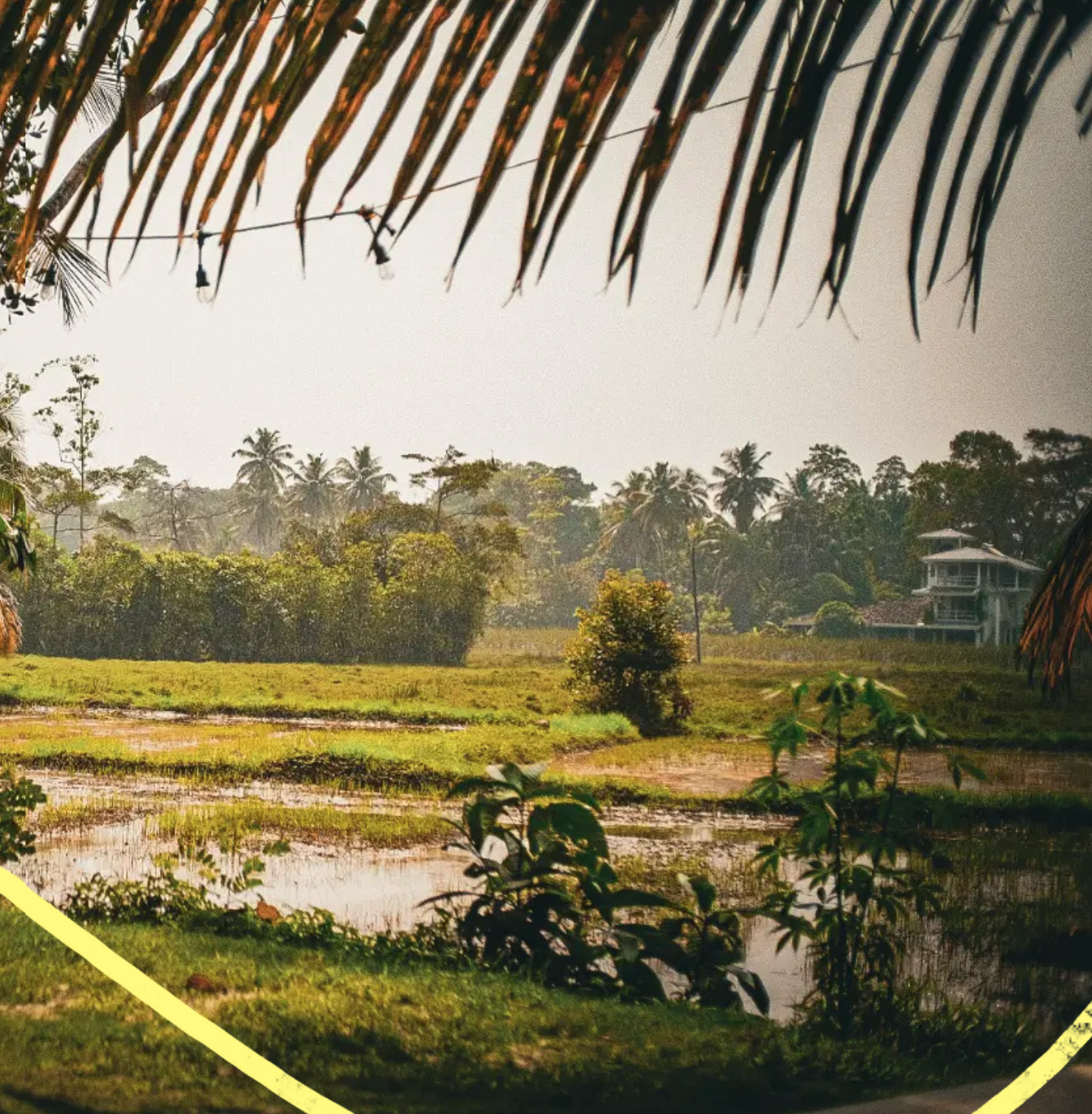 The Sri Lanka Retreat 