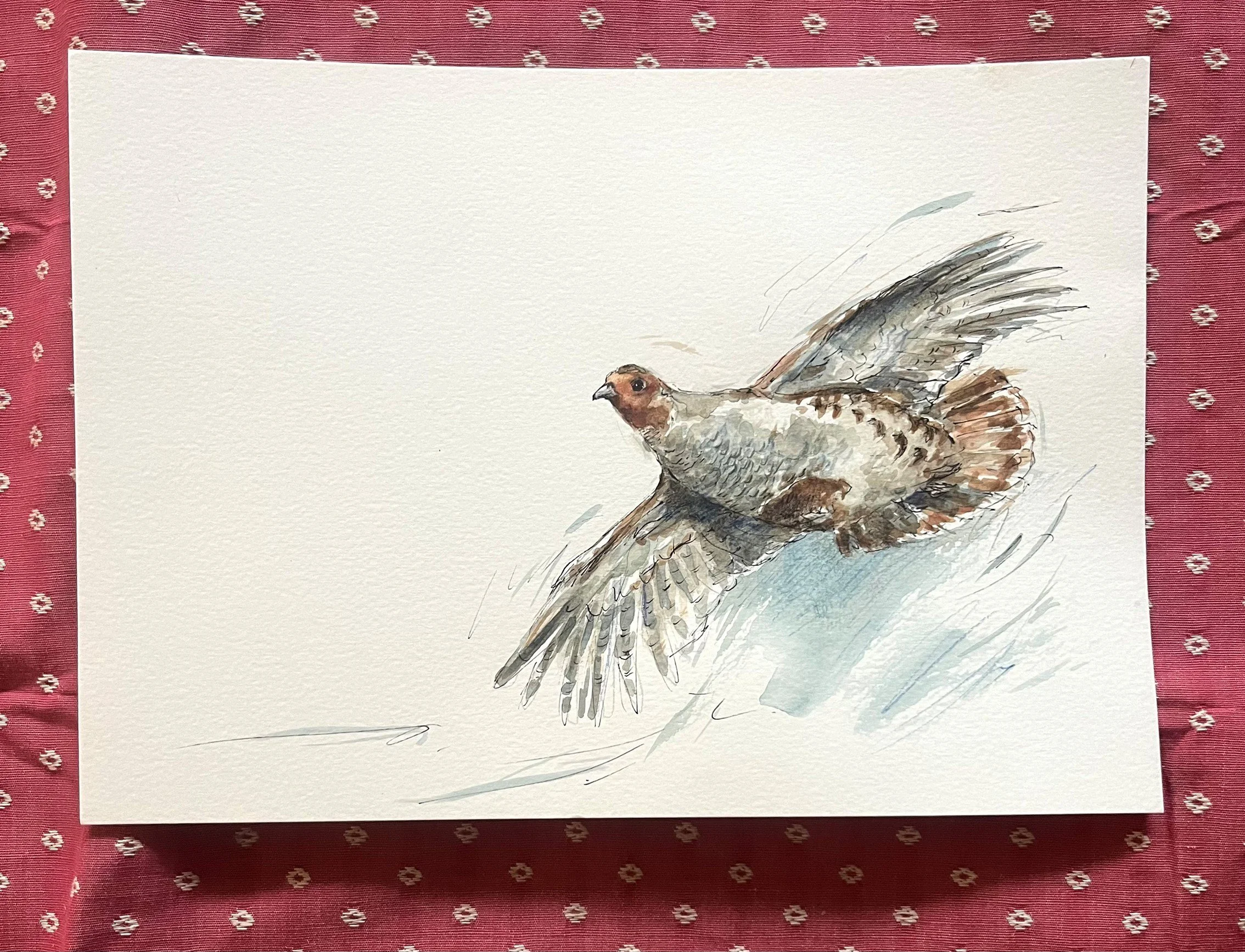'Taking flight' pen and watercolour - 21 x 30cm - SOLD