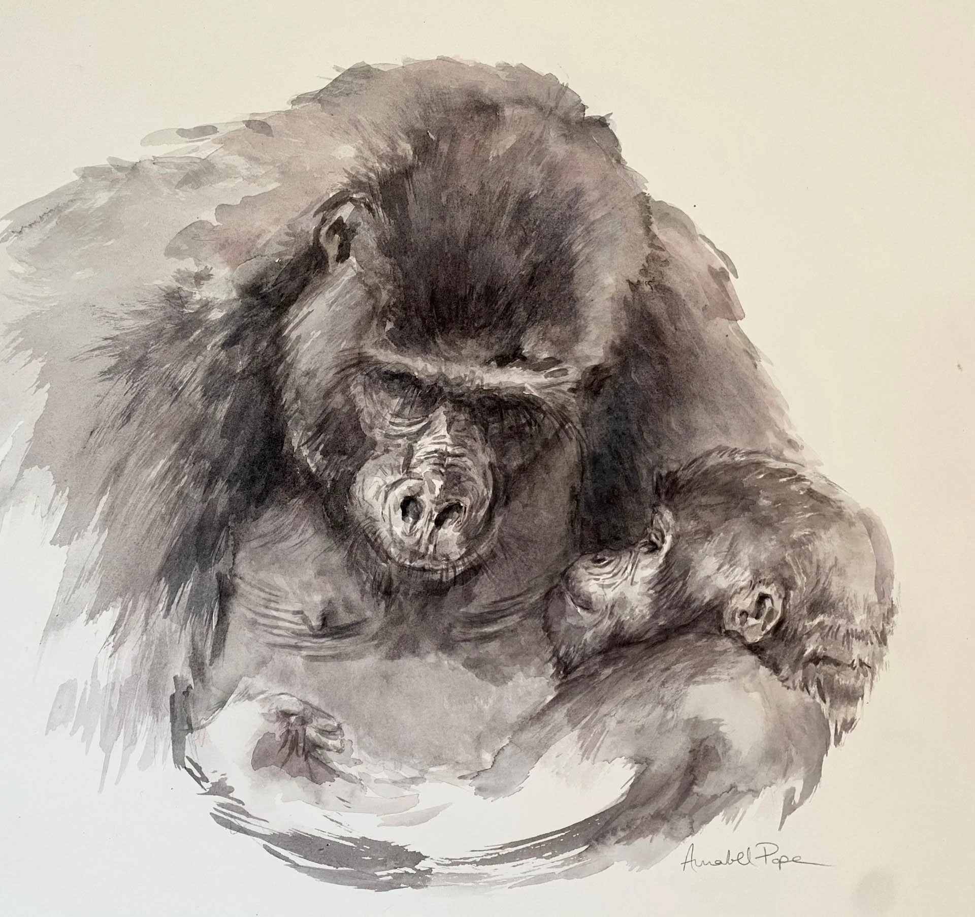 Mothers-cradle-web.jpg