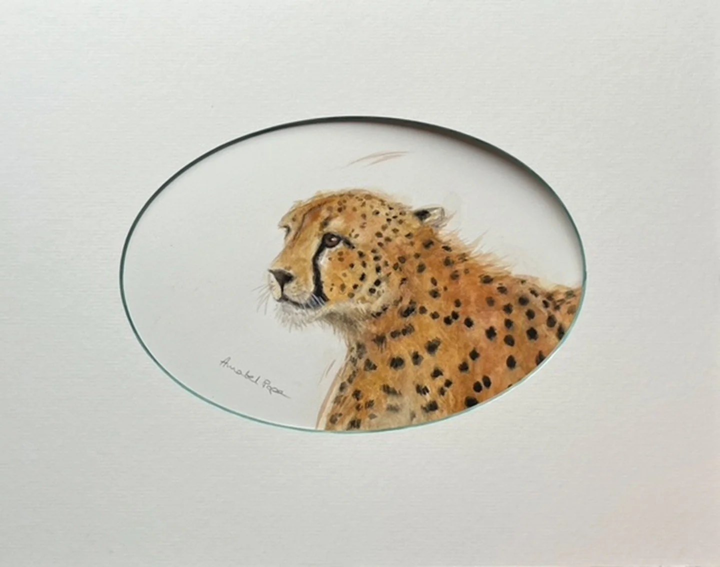 Cheetah mum - watercolour - oval mount with a wash £245 28 x 36cm