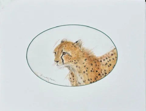 'Cheetah cub ' Watercolour in oval mount with wash £245 - 28 x 36cm