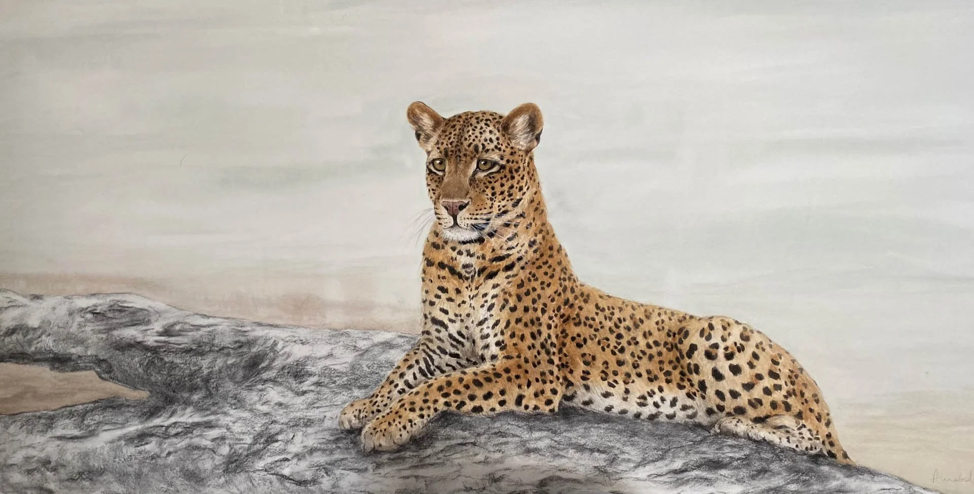 leopard-tree-scaled.jpg