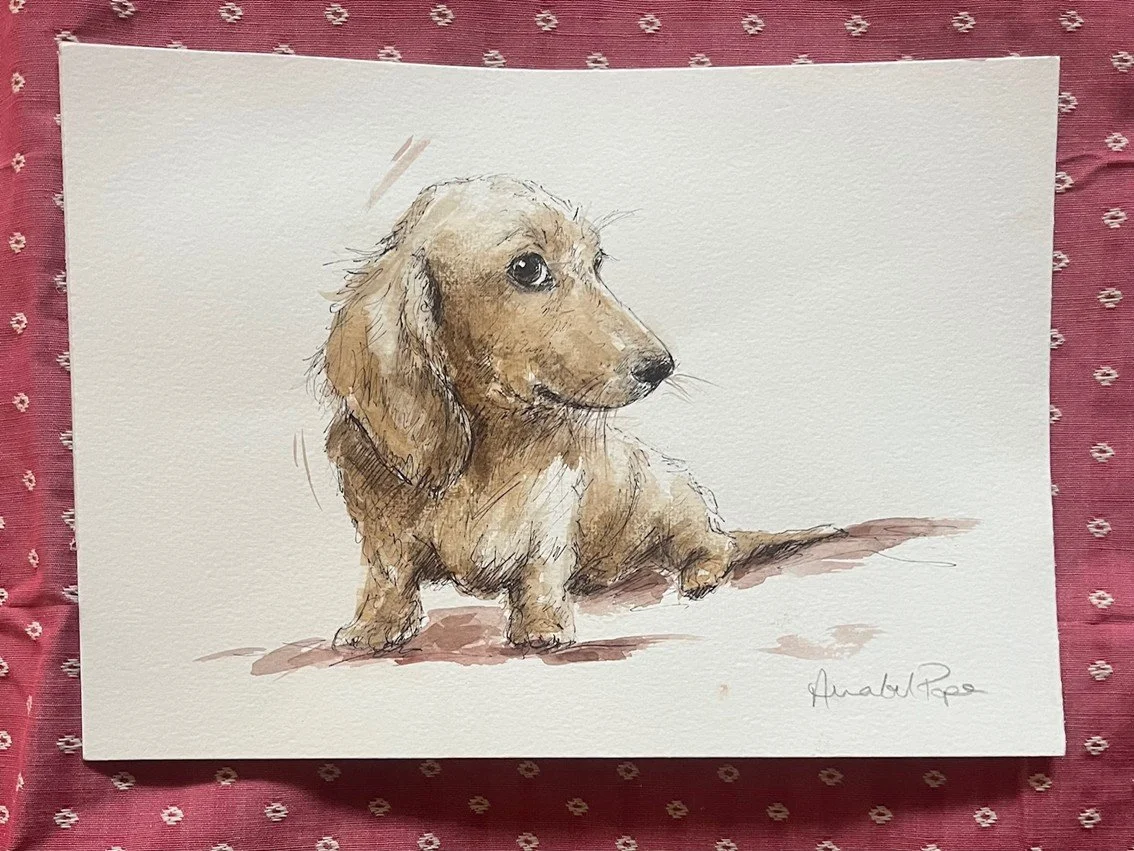 'Watching you' Pen and watercolour - 21 x 30cm - £240