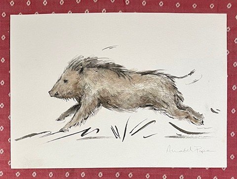 'Happy leap!' Pen and watercolour - 20 x 31cm - £195