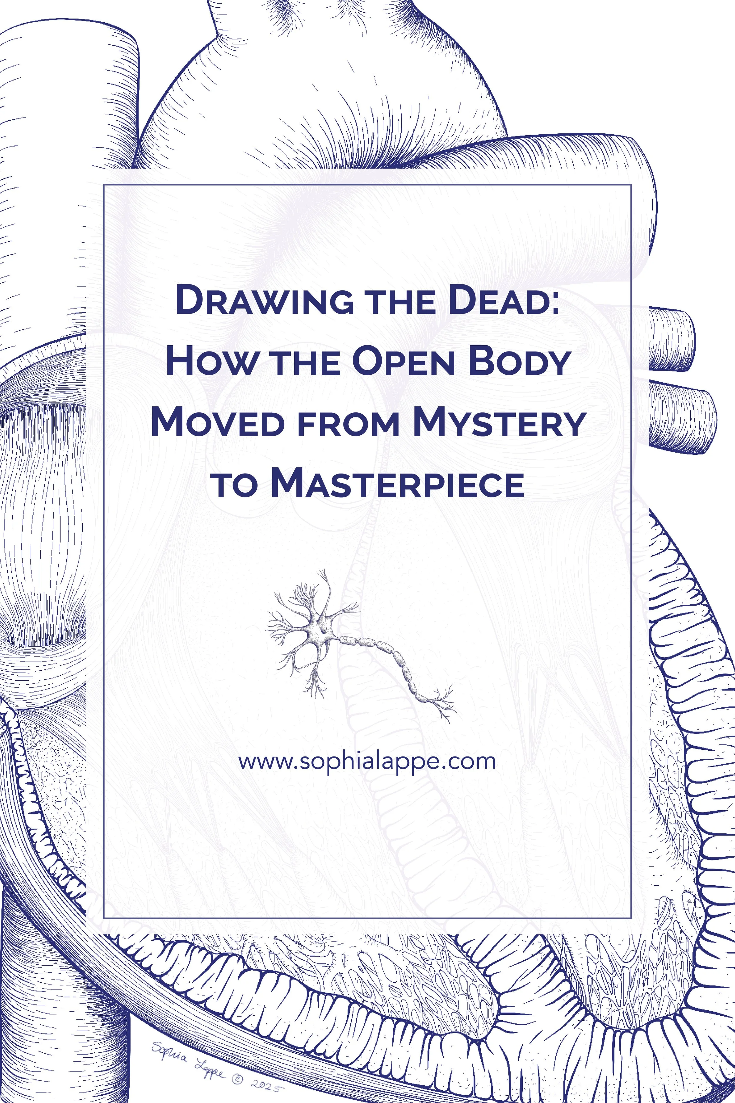 Drawing the Dead: How the Open Body Moved from Mystery to Masterpiece