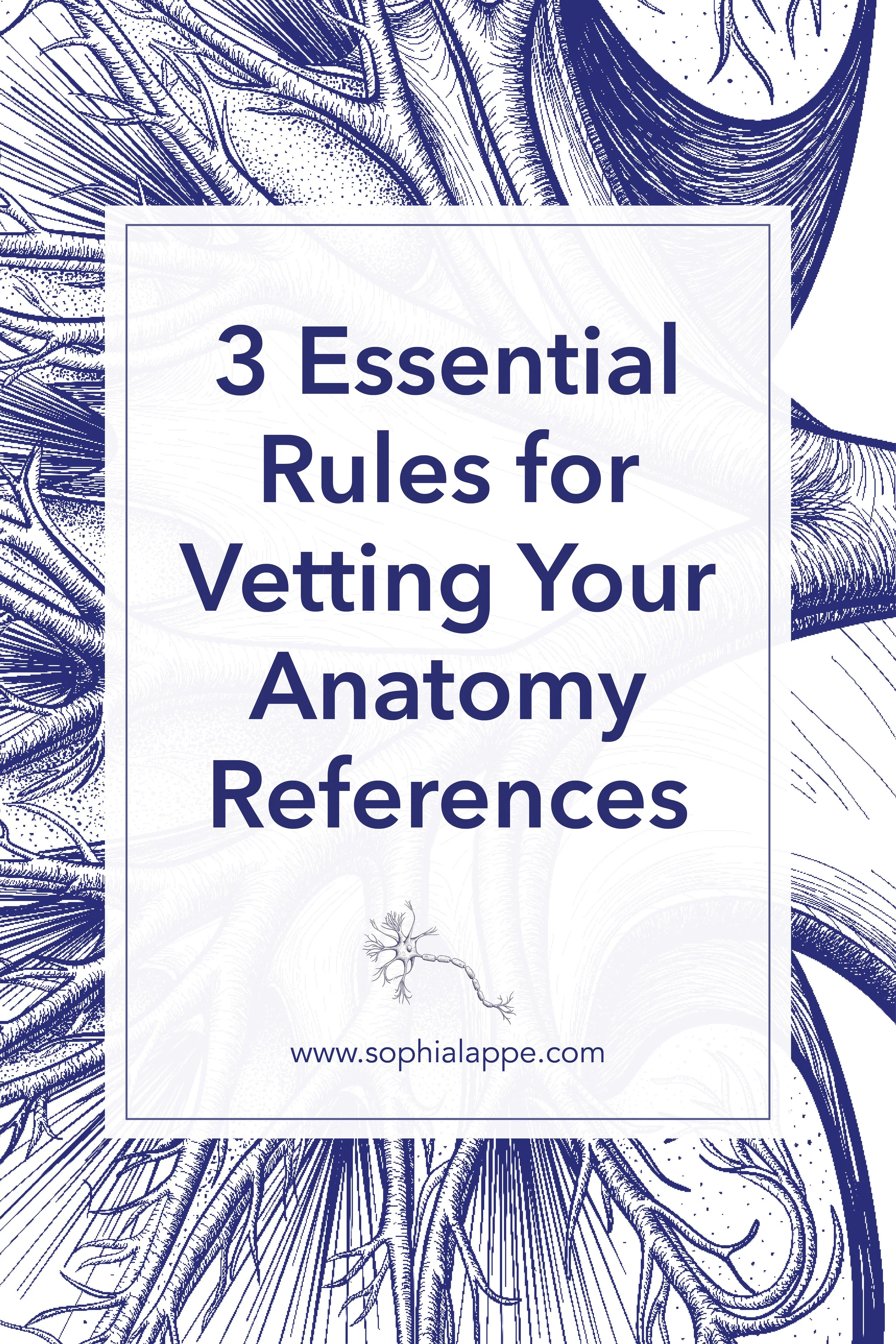 Pinterest Post Lappe-kidney-4.jpg