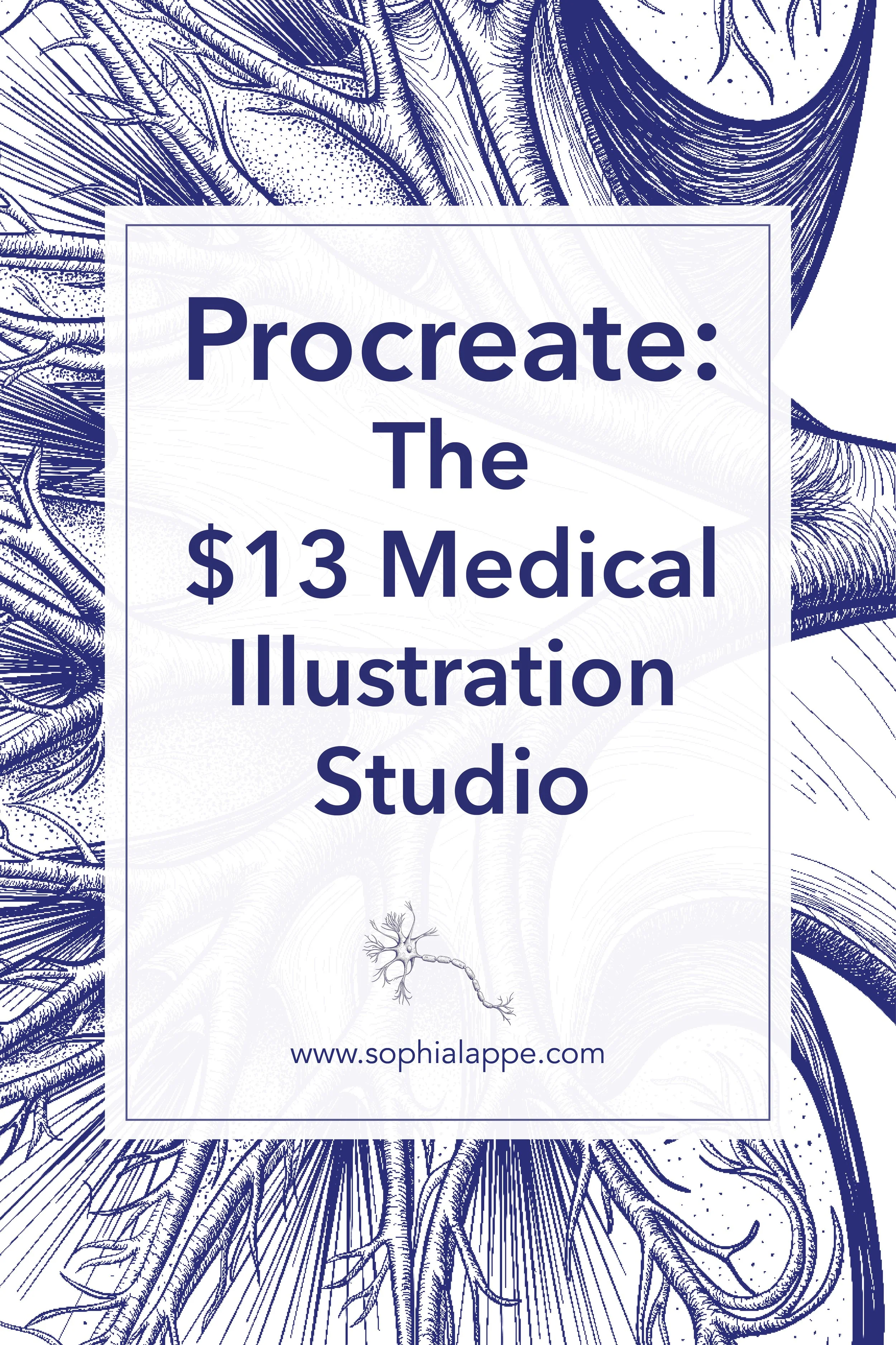Procreate: The $13 Medical Illustration Studio