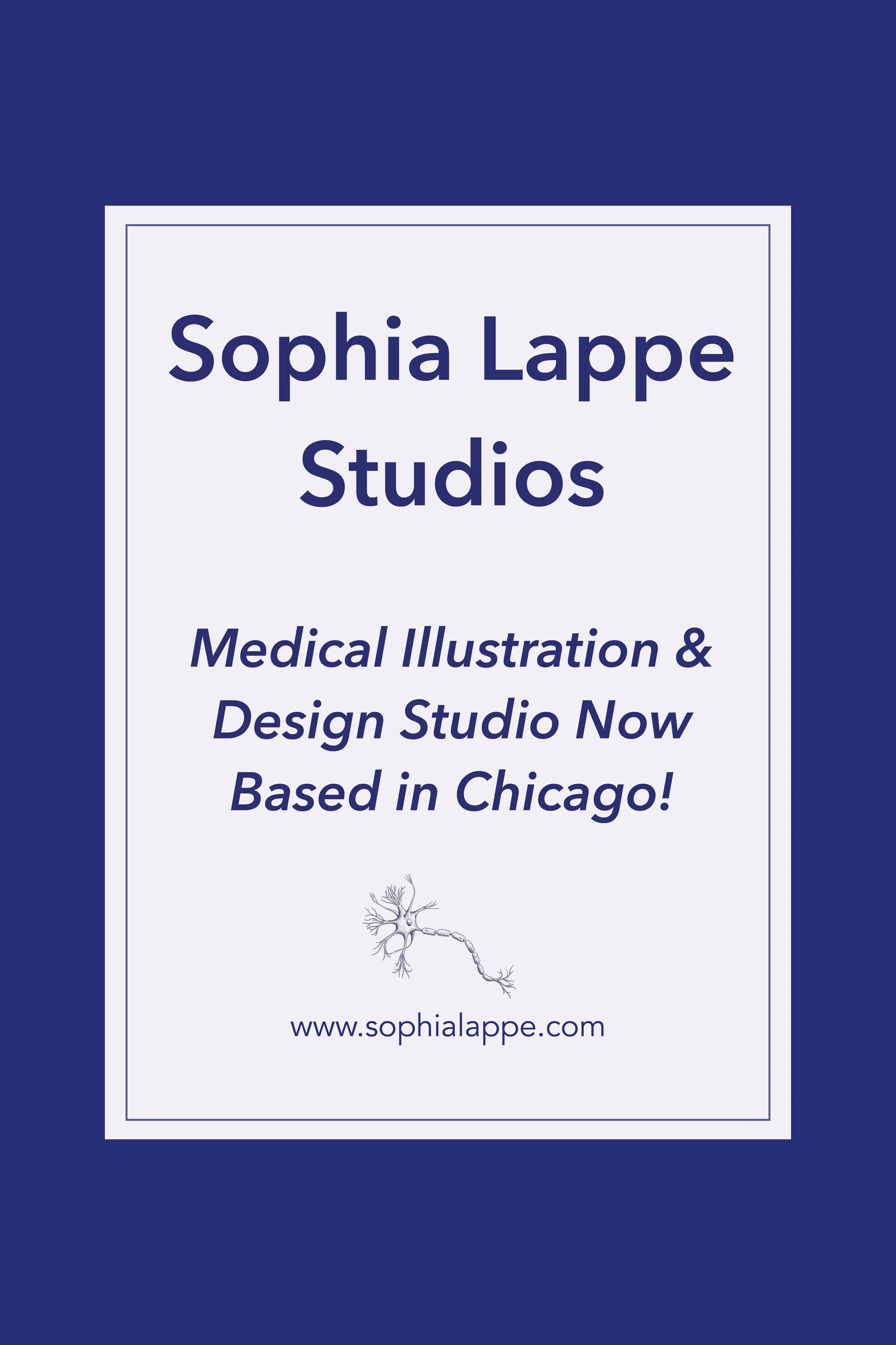 Medical Illustration Studio in Chicago