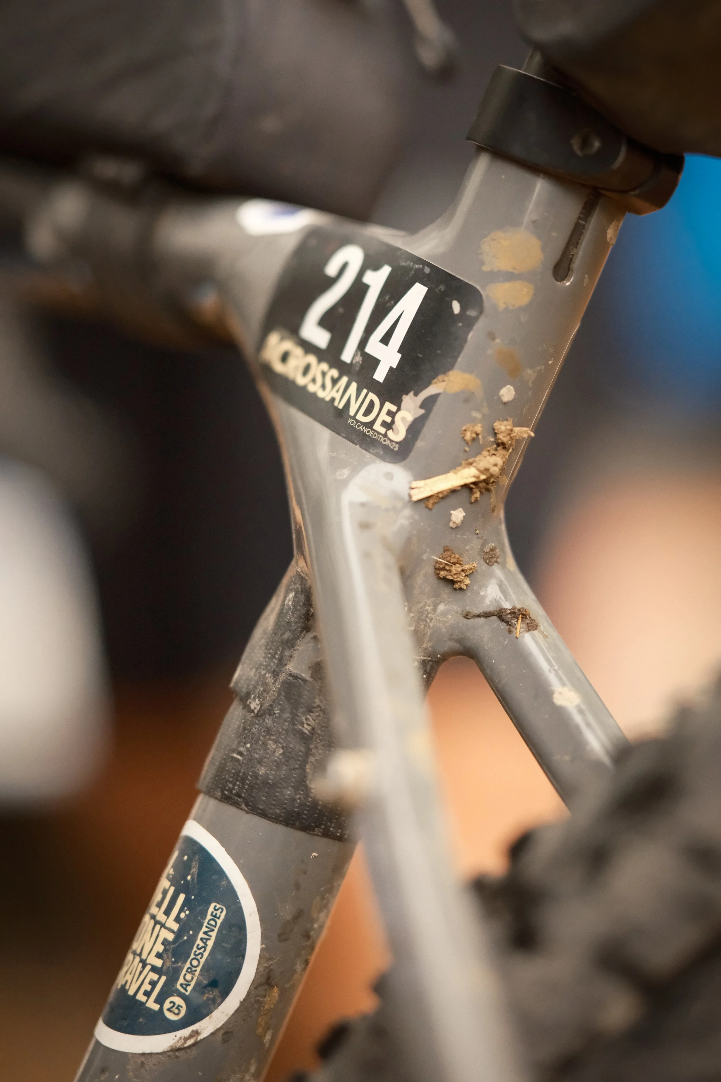 PedalFestival_2026122_©joadriaens.jpg