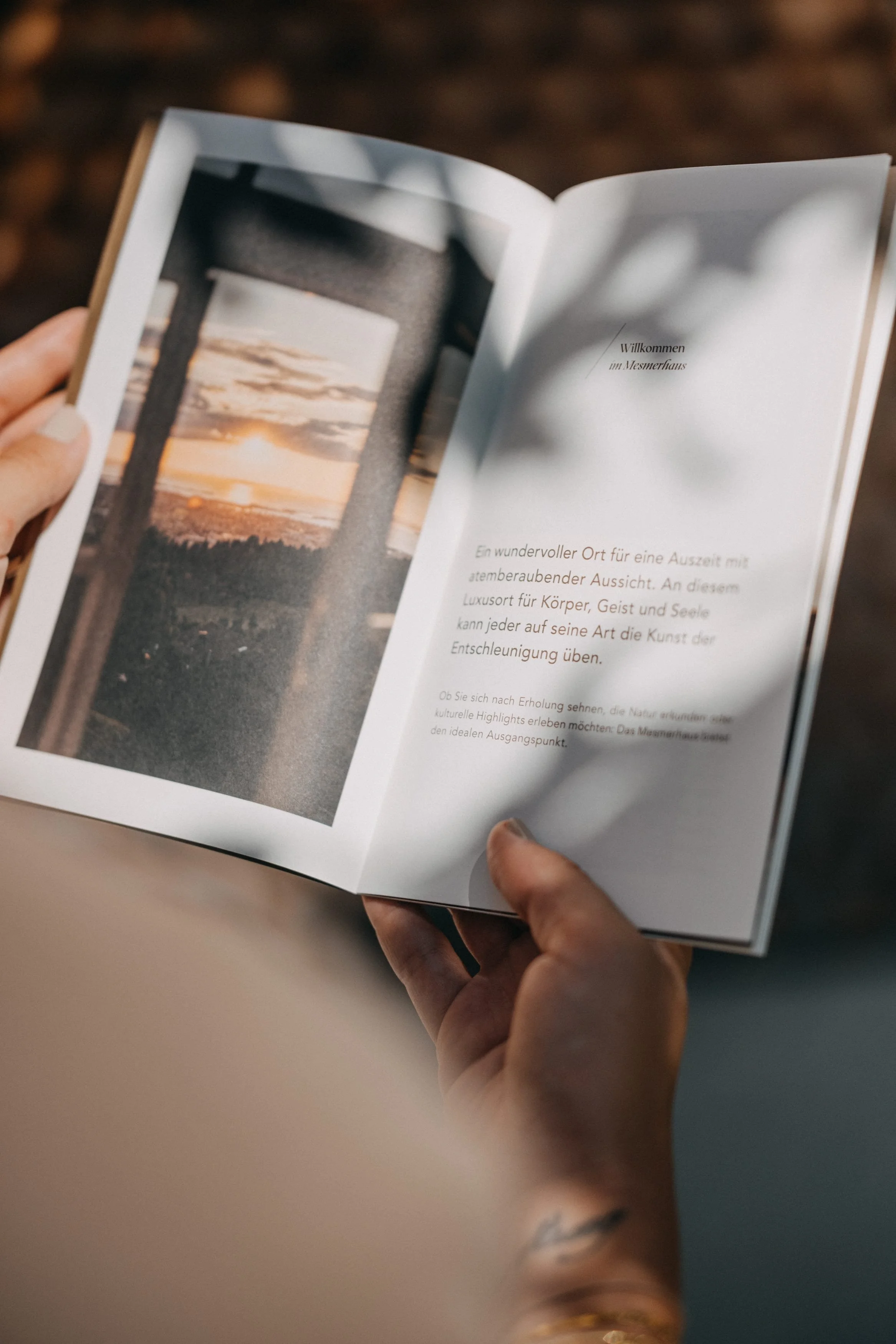 büro-theresa_tempel-mesmerhaus_3500srgb-DSCG4216_(c)Elisa Moosbrugger.jpg