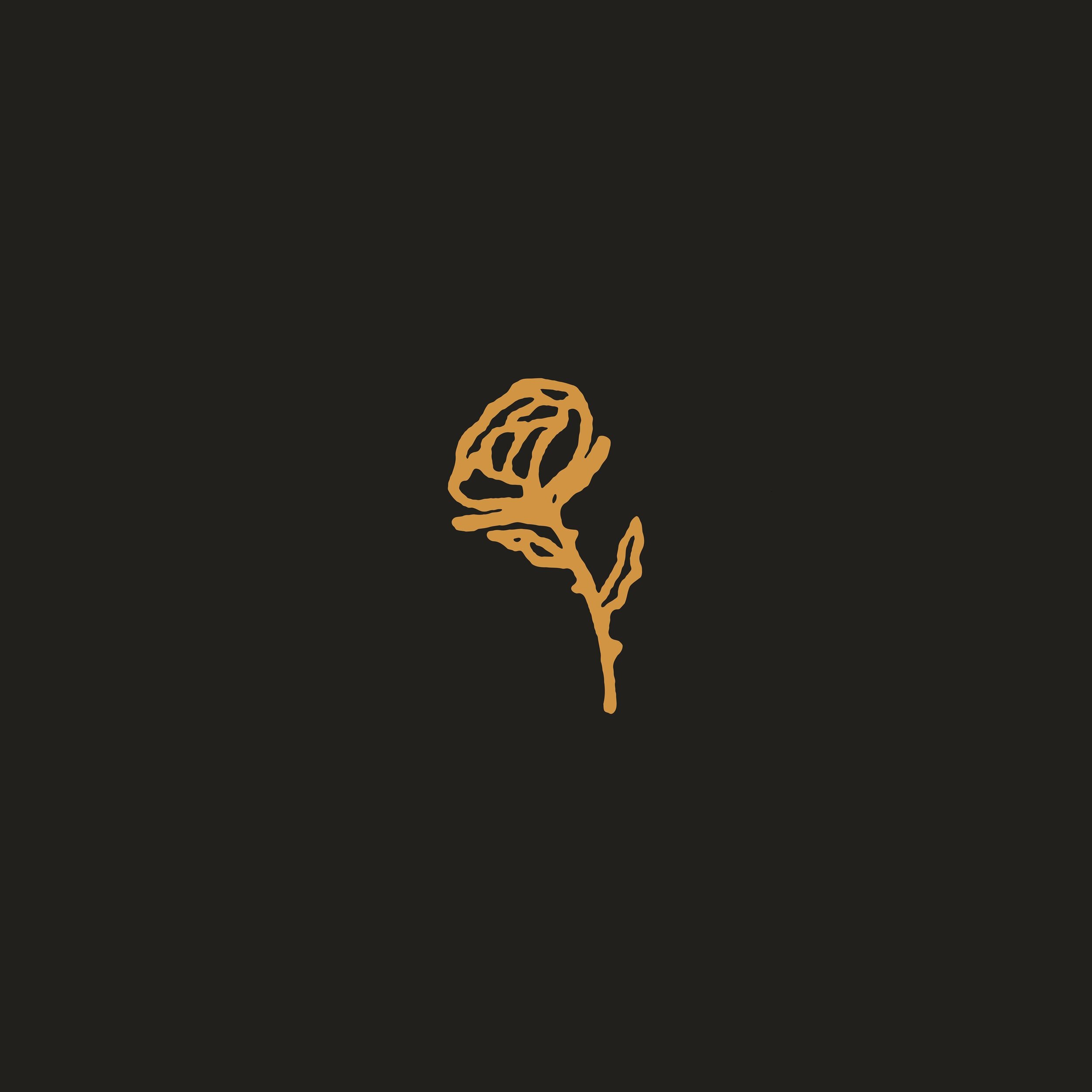 Little yellow rose morning doodle 

#logomark #logodesign #illustrator #illustrationwork