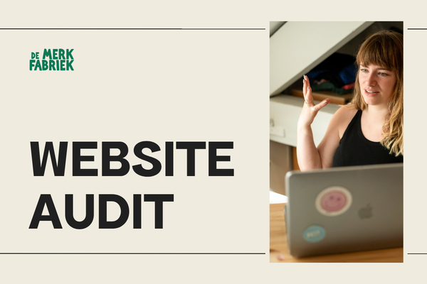 Website audit