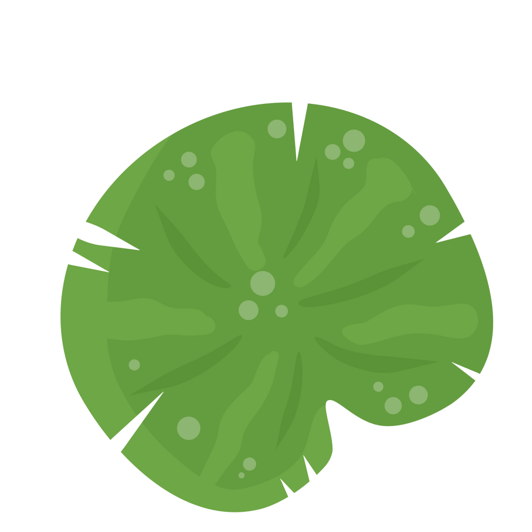 Lily Pad.png