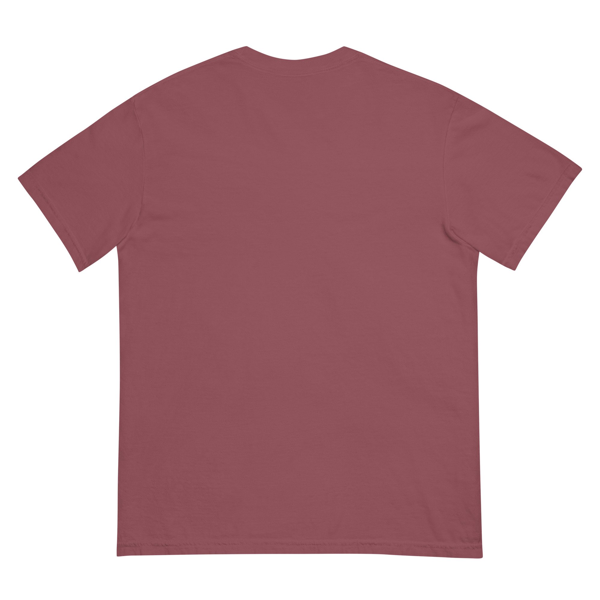 unisex-garment-dyed-heavyweight-t-shirt-brick-back-687978ab9627c.jpg