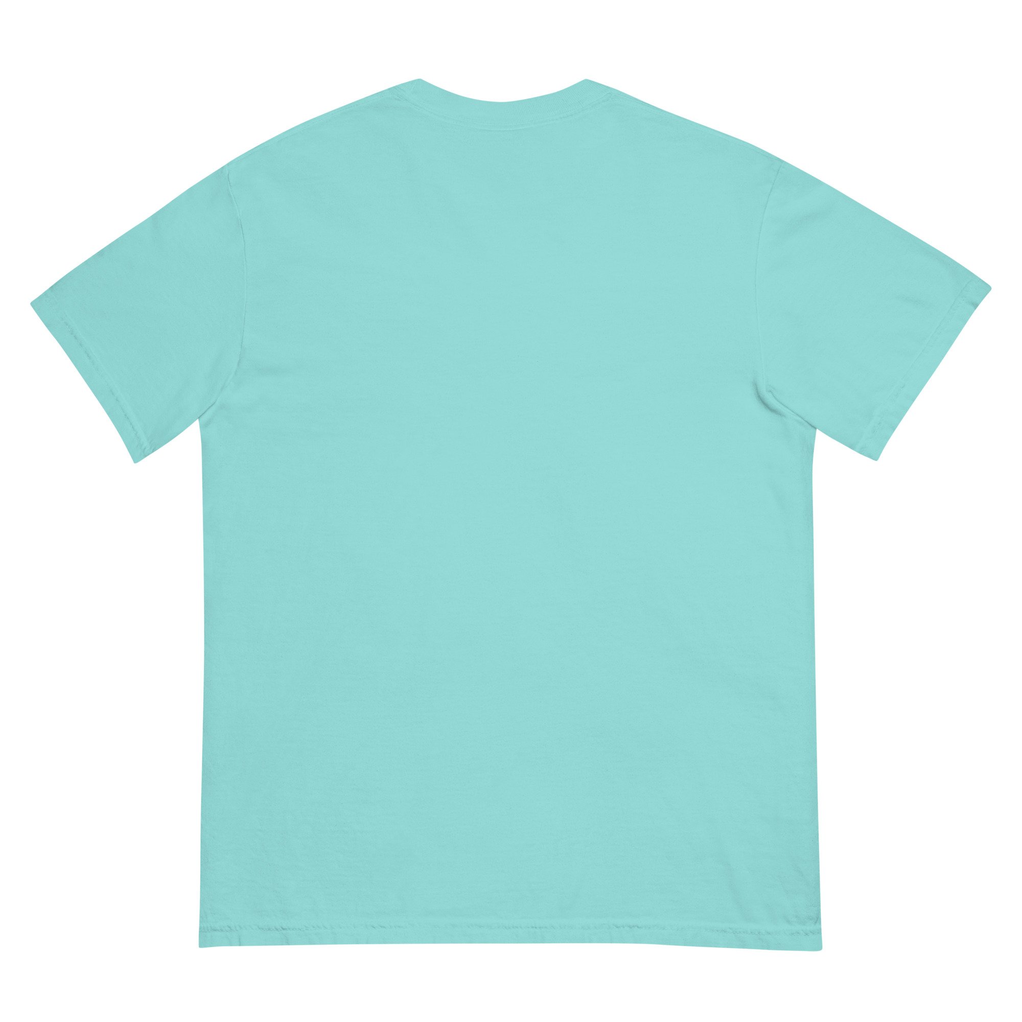 unisex-garment-dyed-heavyweight-t-shirt-lagoon-blue-back-687979249d5dc.jpg