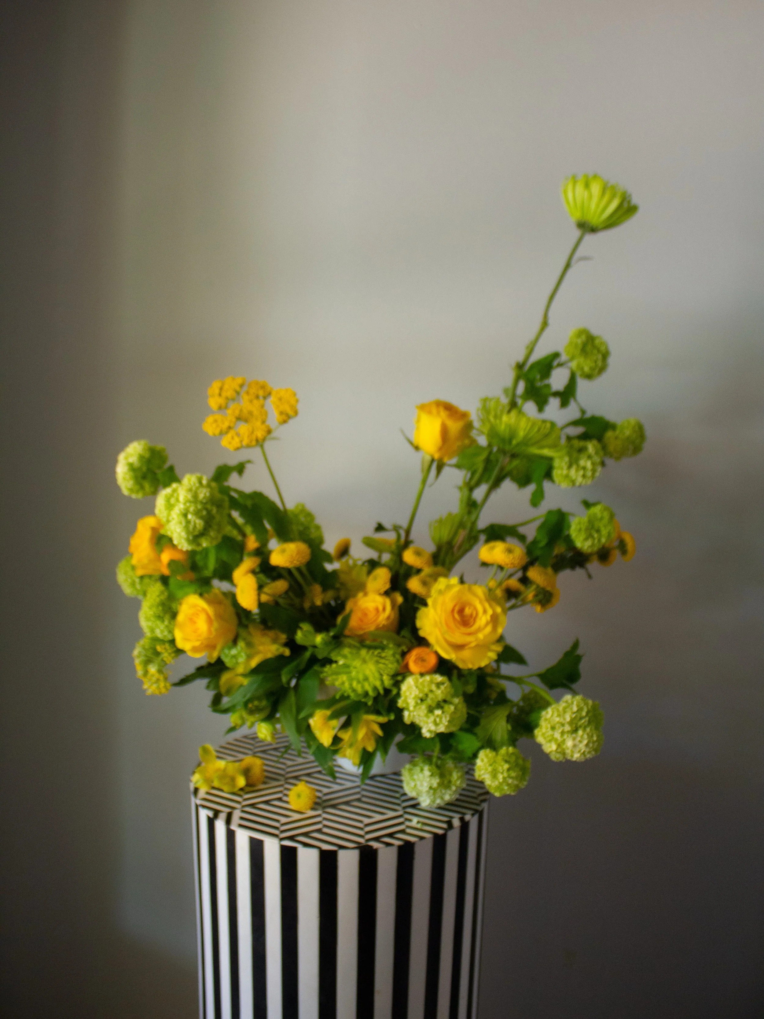 citrus zest. 🍋

@mayeshwholesale #mayeshfloristryisart #dahliasanddaisies