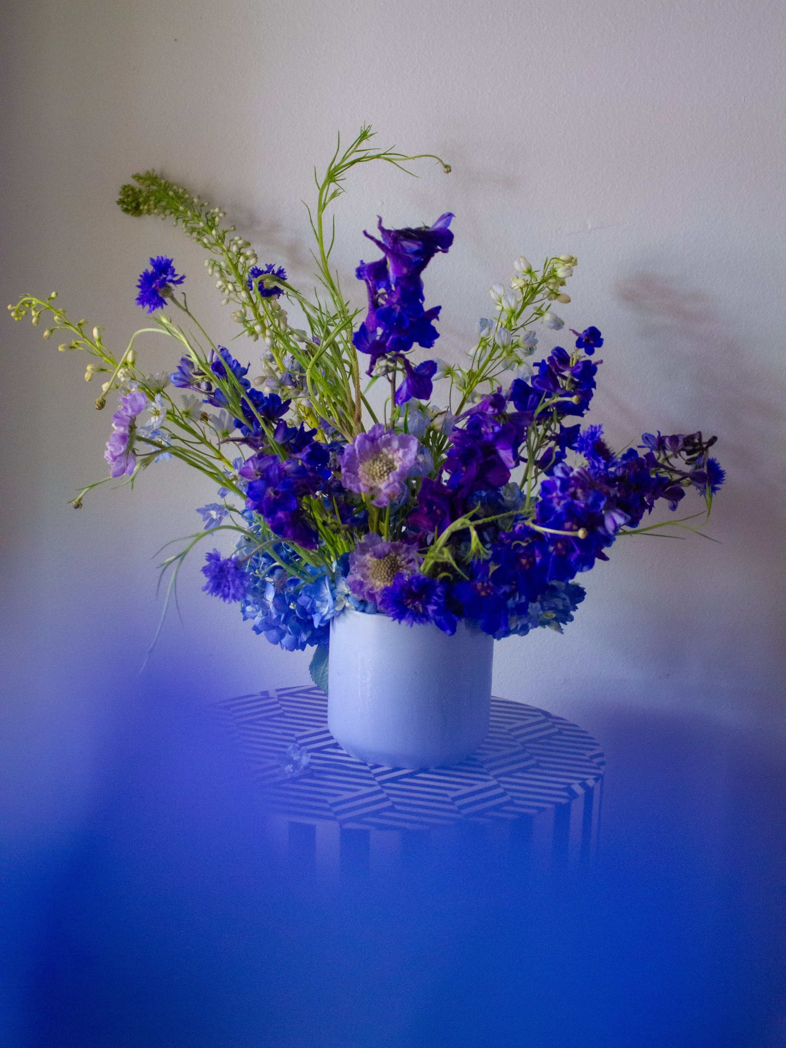 blueberry fizz. 🫐

@mayeshwholesale #mayeshfloristryisart #dahliasanddaisies