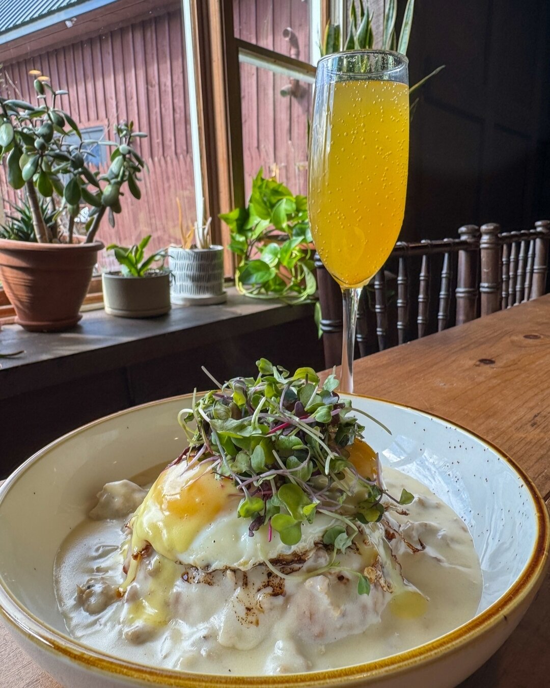 The Aftermath Benny 🌎

🥖Rosemary and Cheddar Biscuit 
🥚2 Sunny Side Eggs
✨Classic Hollandaise 
🤤Housemade Sausage Gravy 

Available today! 
For reservations visit our 🔗 in bio