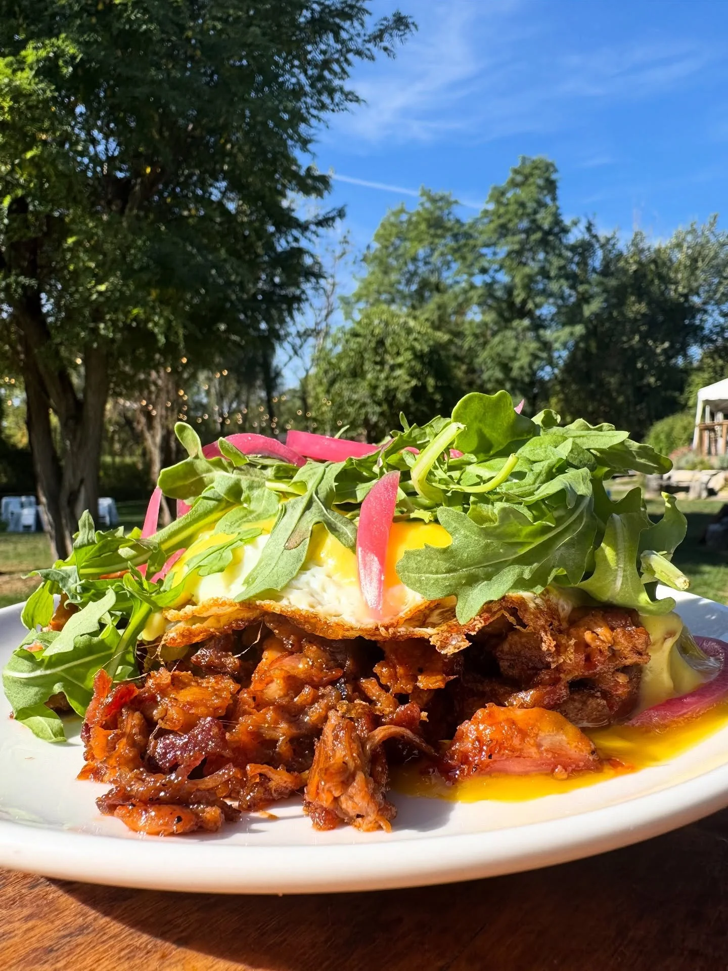 This week&rsquo;s Benny of the Moment is stacked and saucy🍴 Toasted sourdough piled high with BBQ pulled pork, two eggs over easy, silky hollandaise, arugula &amp; pickled red onion. Pair it with your favorite seasonal mimosa 🥂 🍂