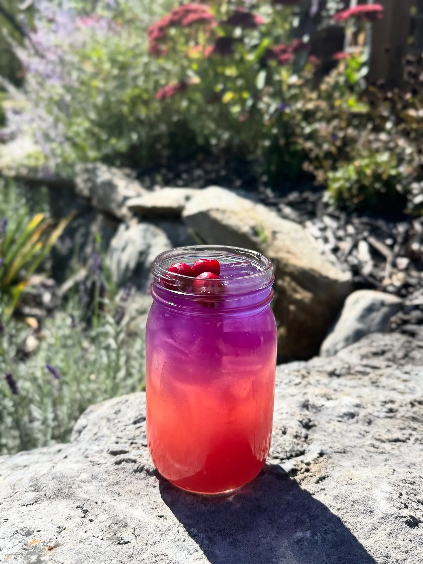 She tastes just as delicious as she looks 😍
@1911established gin, cranberry, grapefruit, and a splash of butterfly pea flower tea ✨

🎶 Live music tonight with @the_david_wong &ndash; see you there!