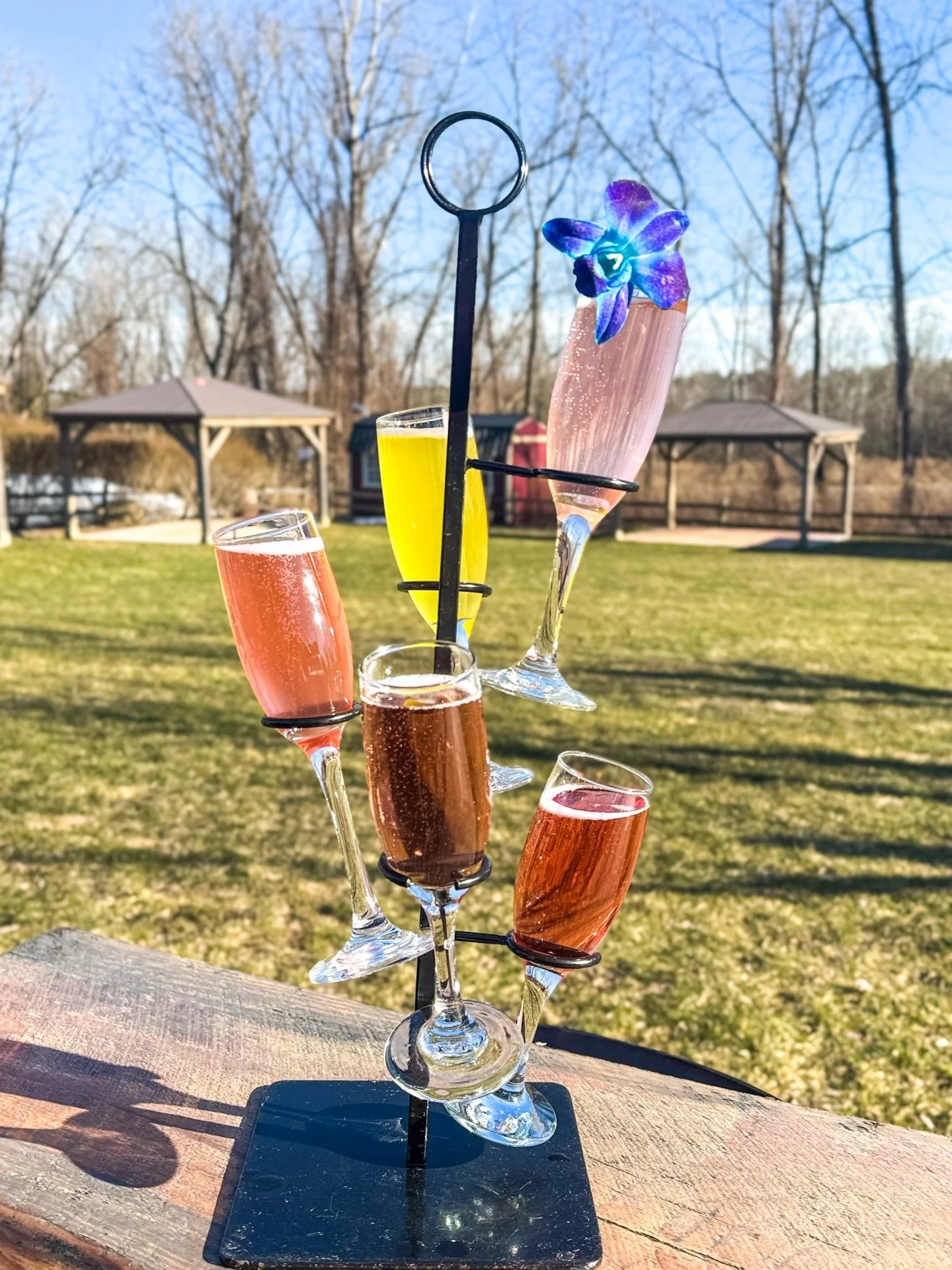 Something bright to pull you out of hibernation mode ✨🌸
Fresh, floral, and made for easing into spring - come sip something new 🍷

Lychee Elderflower | Yuzu Jasmine | Raspberry Ros&eacute; | Blueberry Lavender | Strawberry Hibiscus