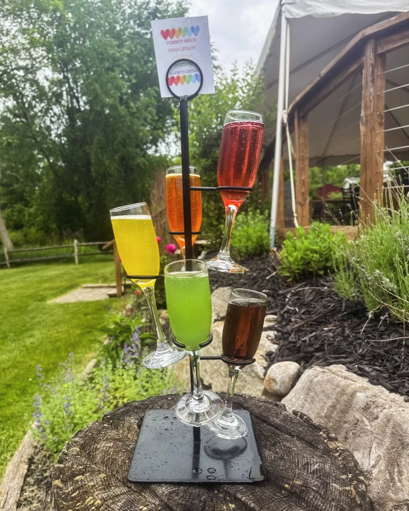 Celebrating 🏳️&zwj;🌈 PRIDE 🏳️&zwj;🌈 all month long with our colorful Rainbow Mimosa Flight ✨🥂

❤️ Strawberry Hibiscus
🧡 Orange Cantaloupe
💛 Yuzu Jasmine
💚 Orchard Pear
💜 Blueberry Lavender

Sip the rainbow, celebrate love, and soak in the vi