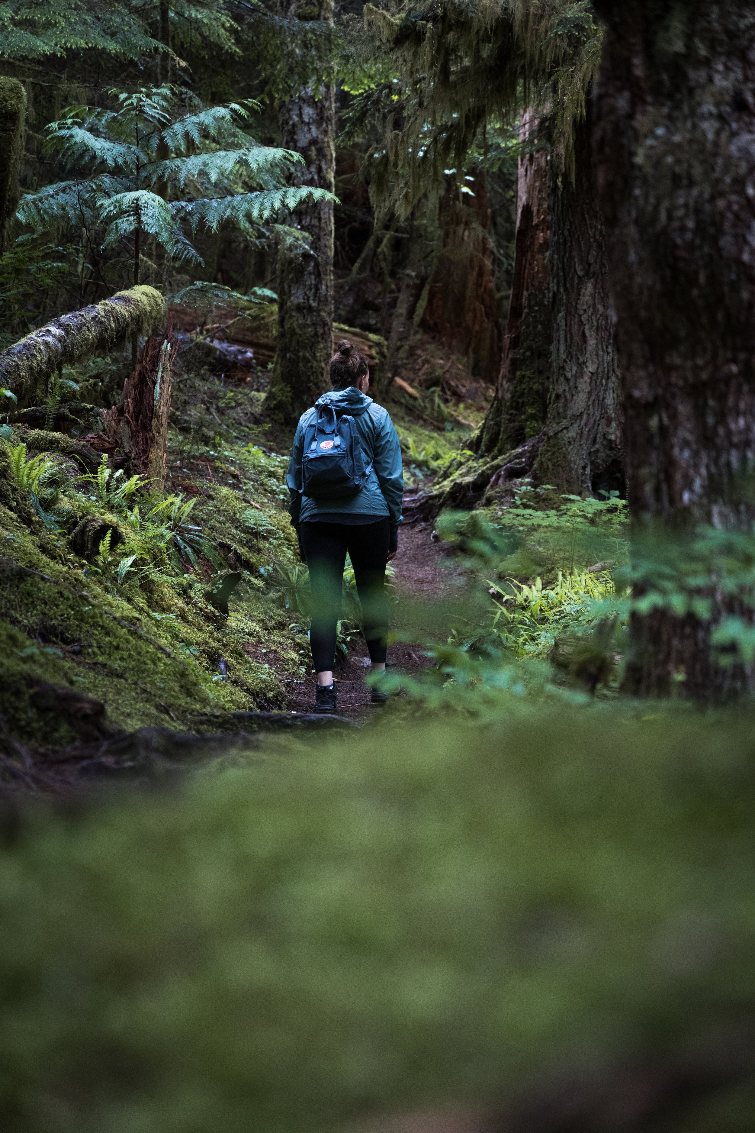 A woman walking away in a rainforest 