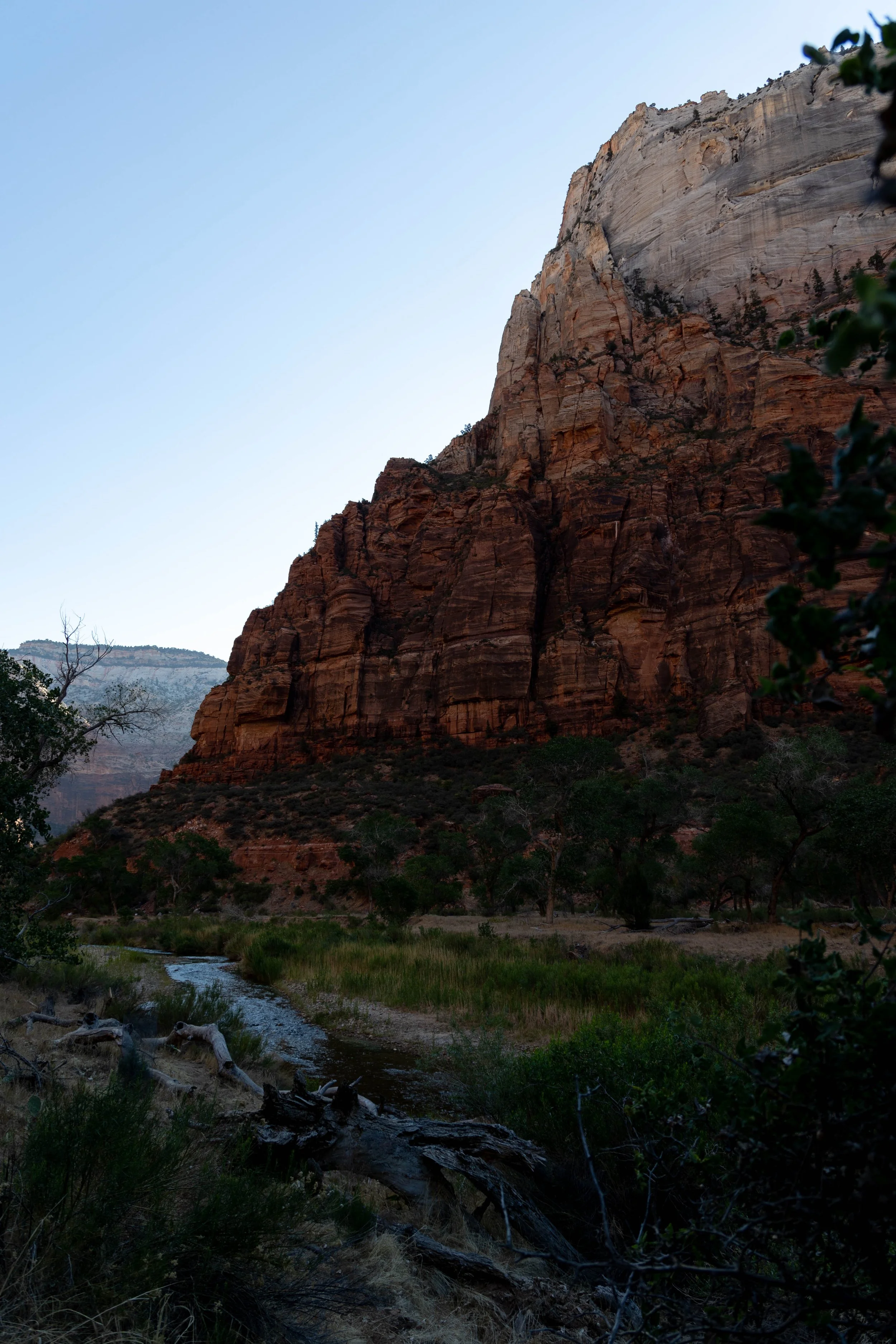 An early morning photo of a canyon wall at Zion National Park