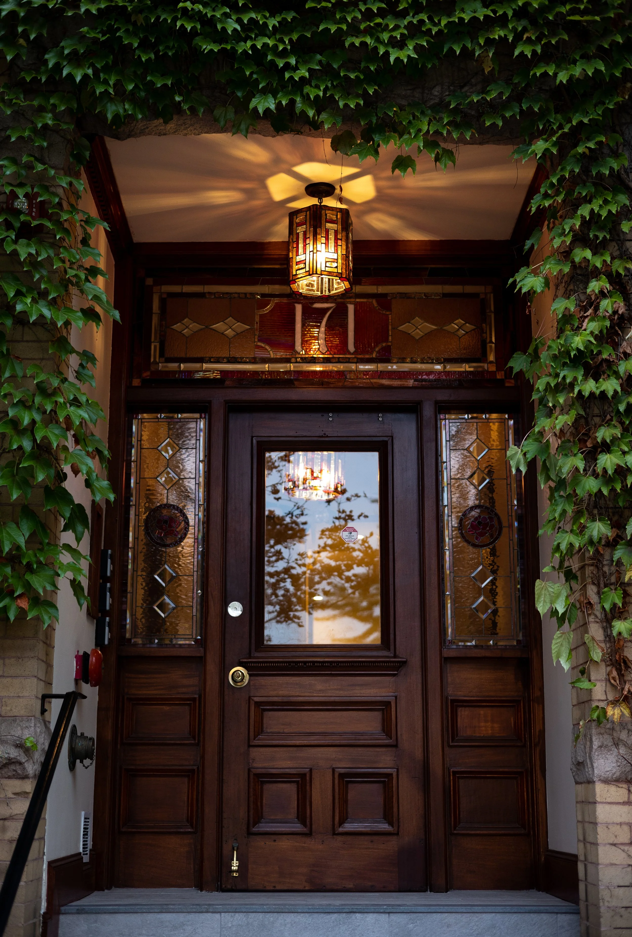 A wooden door with a vintage porch light all framed in by vines