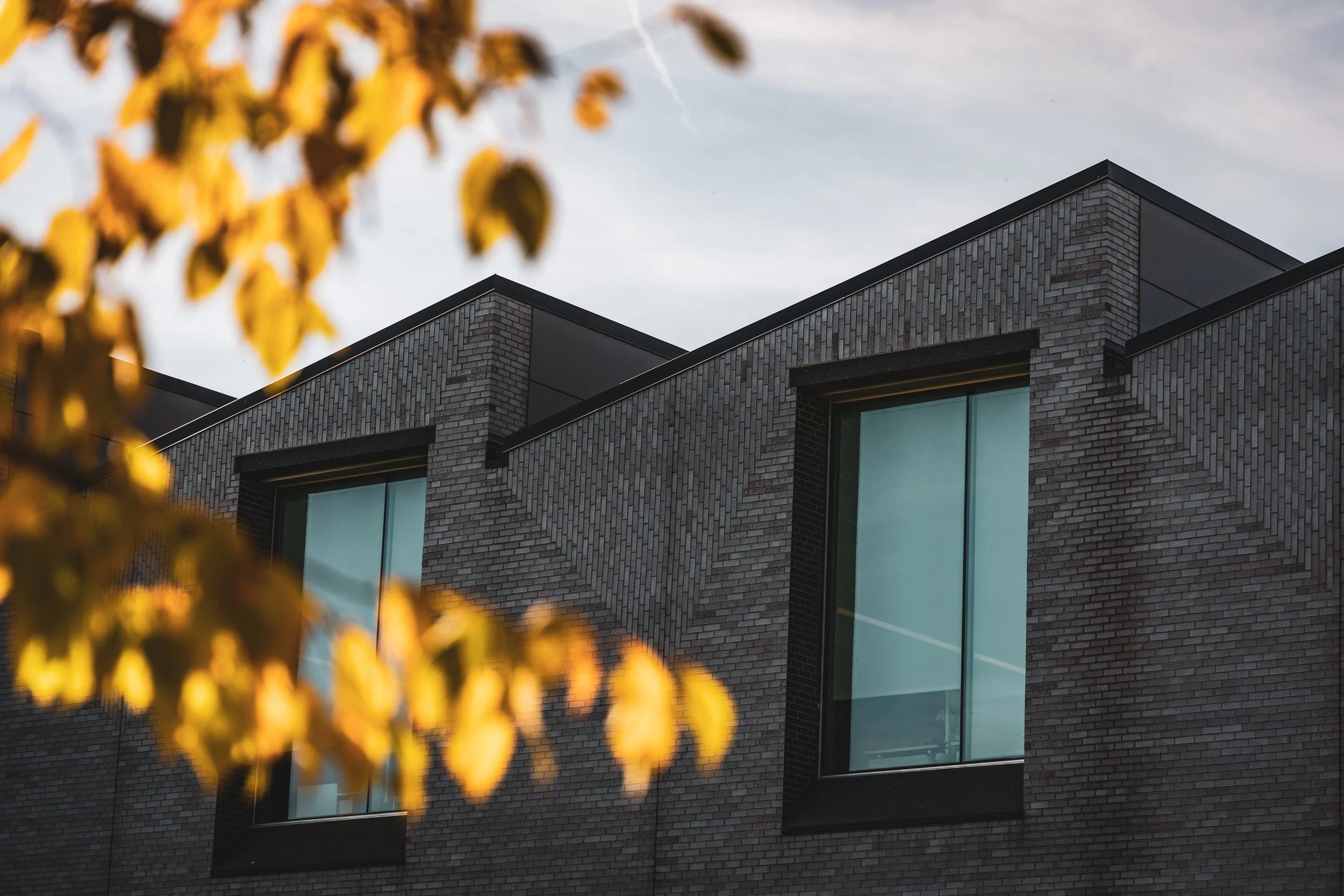 The top of a building with a jagged edge. Yellow fall leaves appear in the foreground