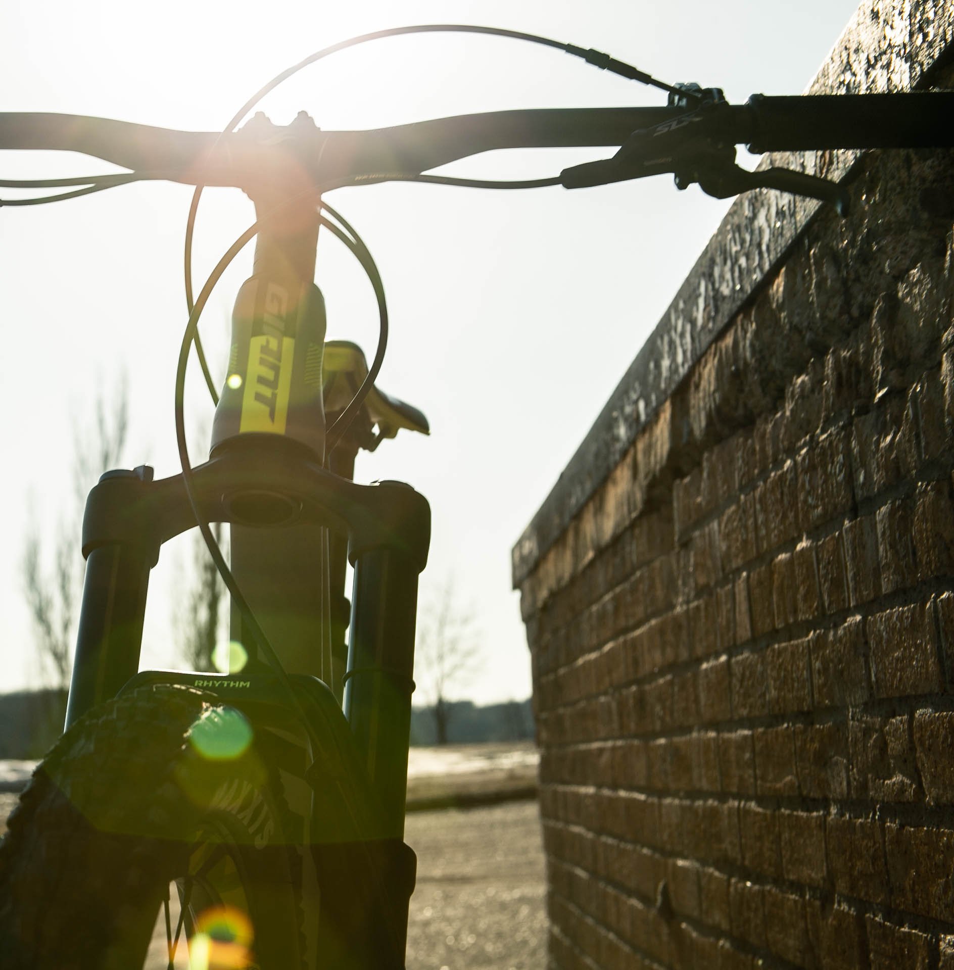 A sun flare highlights the handlebars of a Giant brand mountain bike