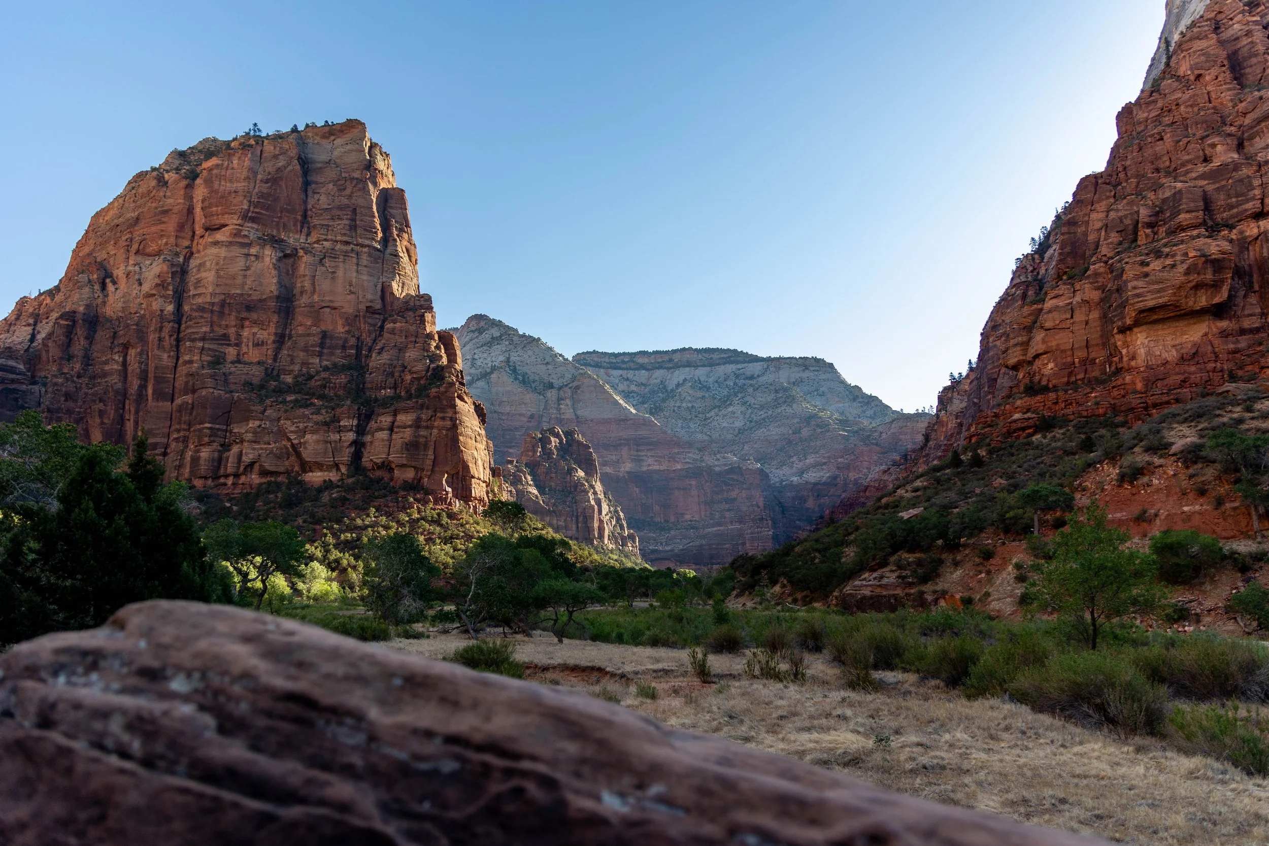 An early morning photo of a canyon wall at Zion National Park with clear blue skies