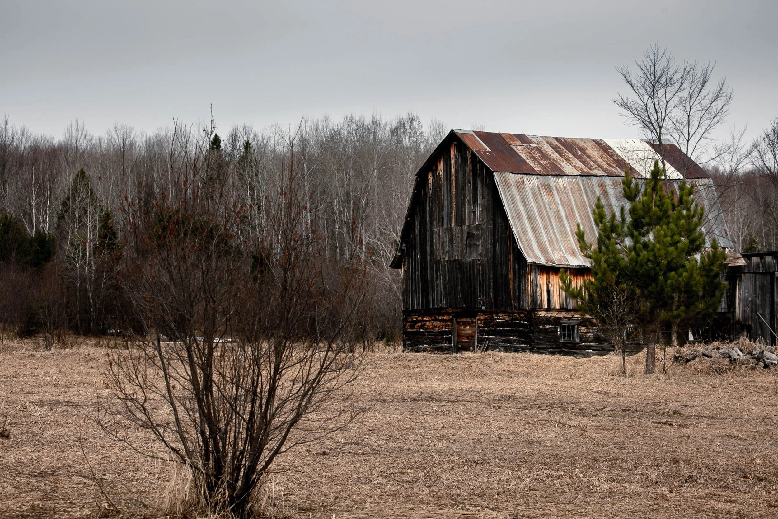 A rustic barn during the winter