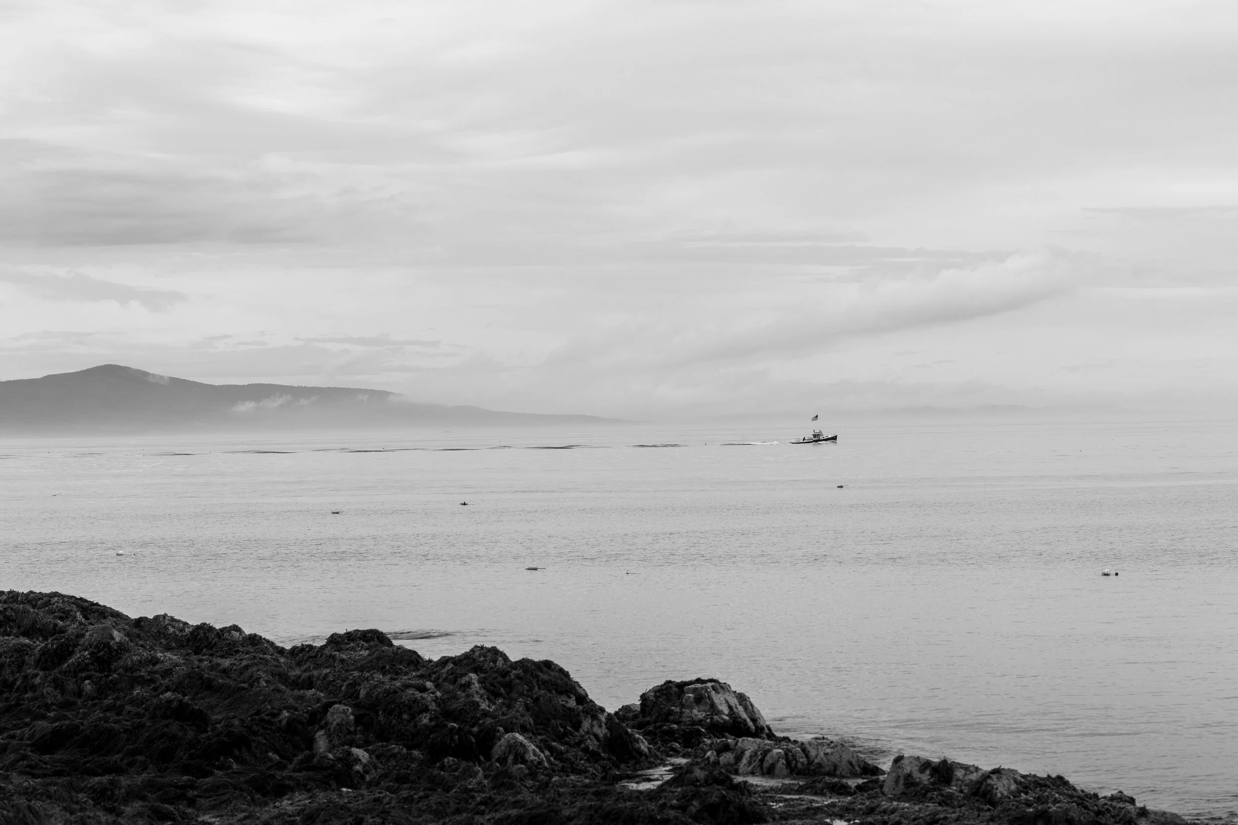 A lone boat heads out to sea, with the foreground showing a rocky, seaweed-covered beach