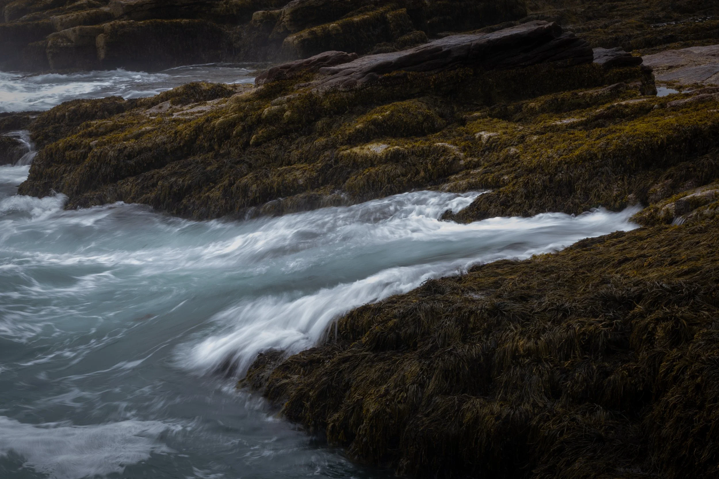 A long exposure image of water washing over rocks and kelp