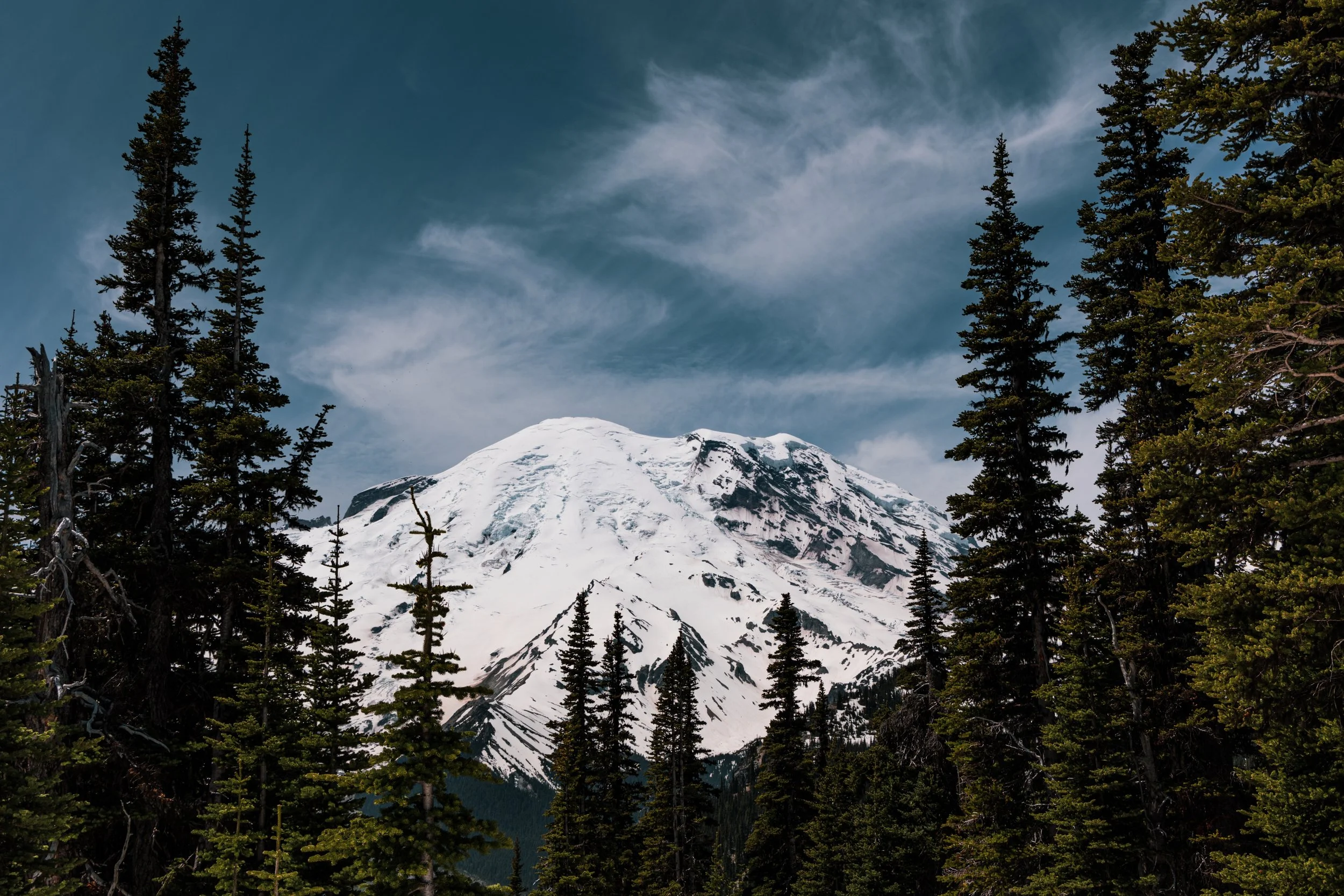 A snow-capped Mount Rainier framed between pine trees and blue skies