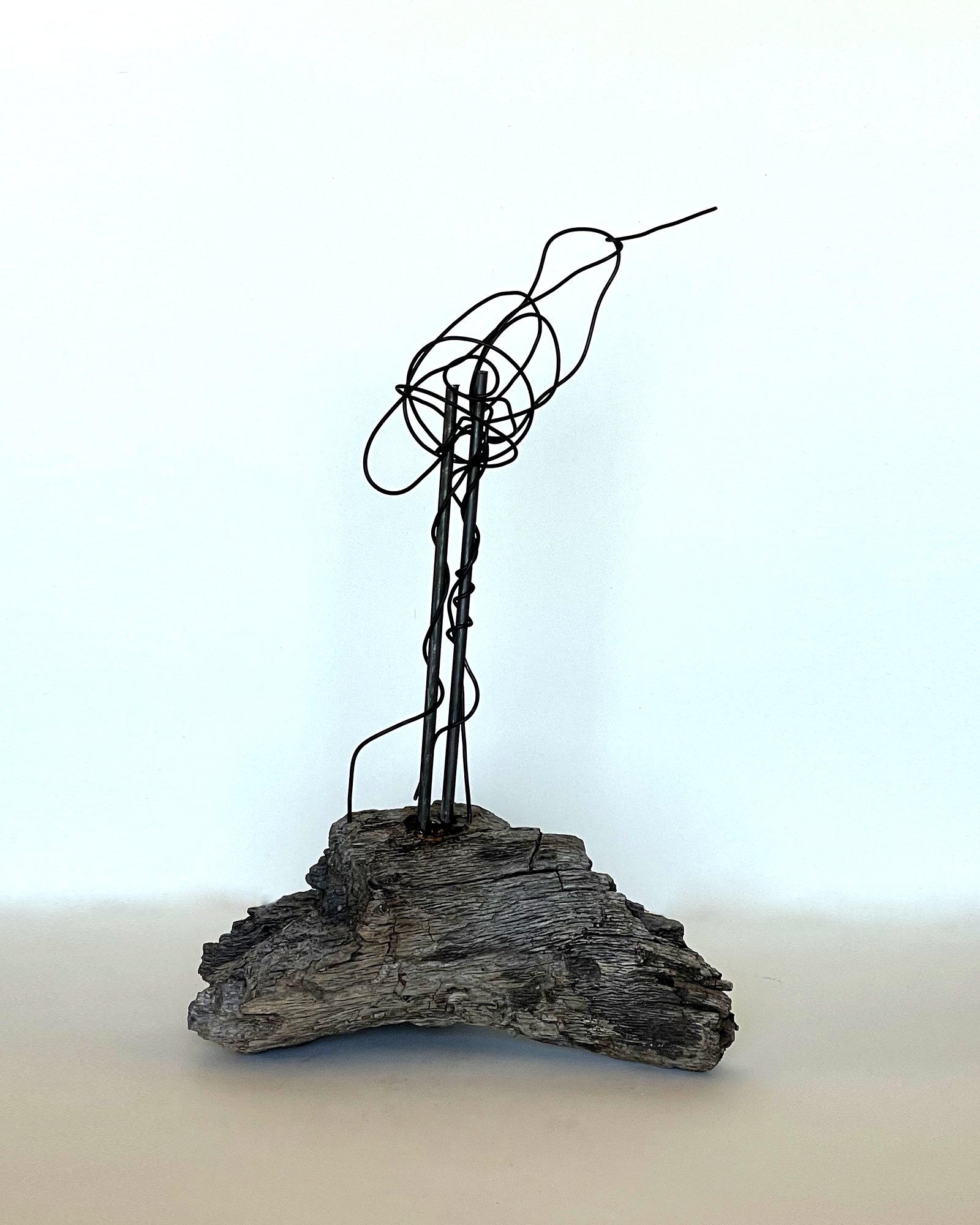 WireBird copy.jpg