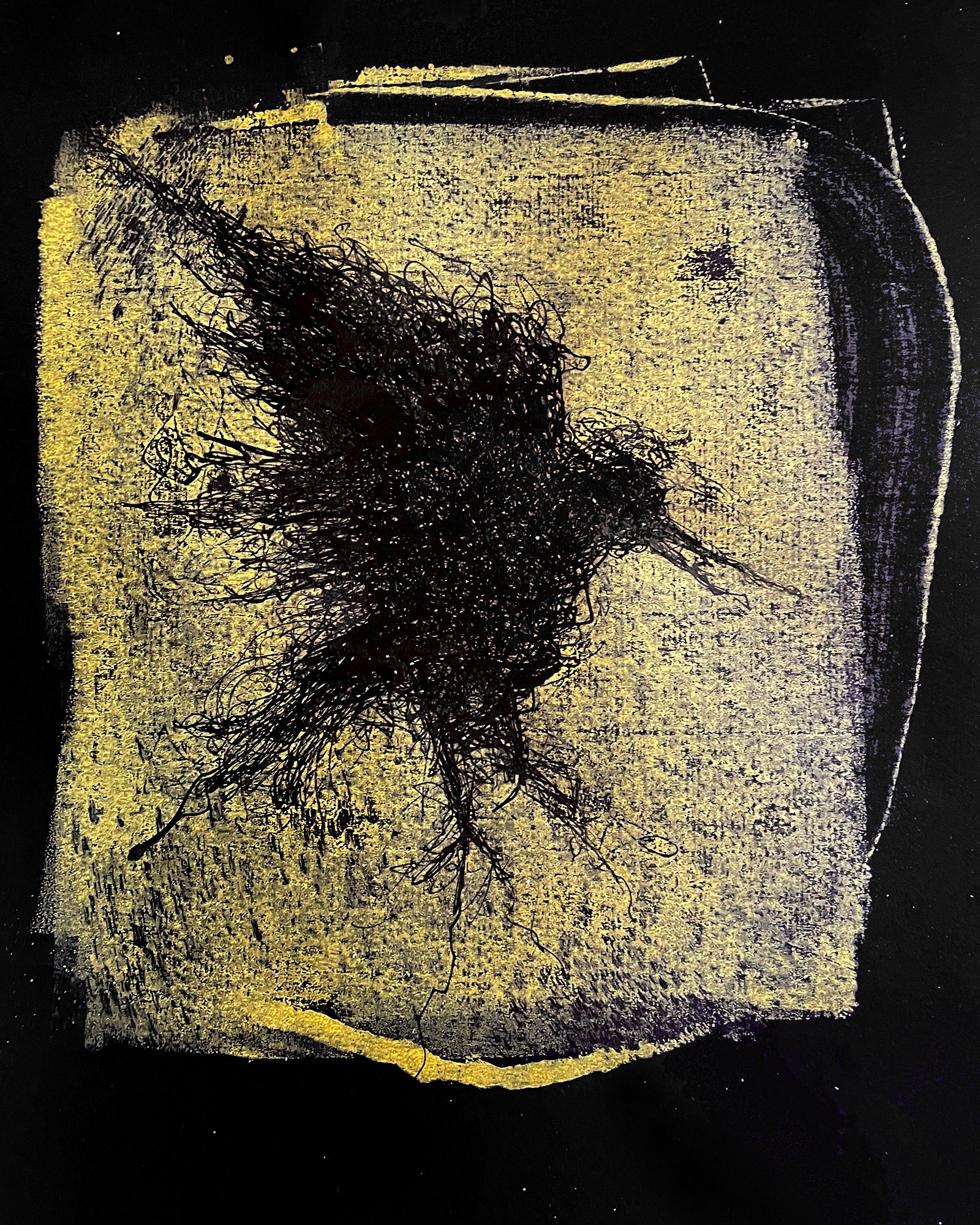 Yellow bird copy.jpg